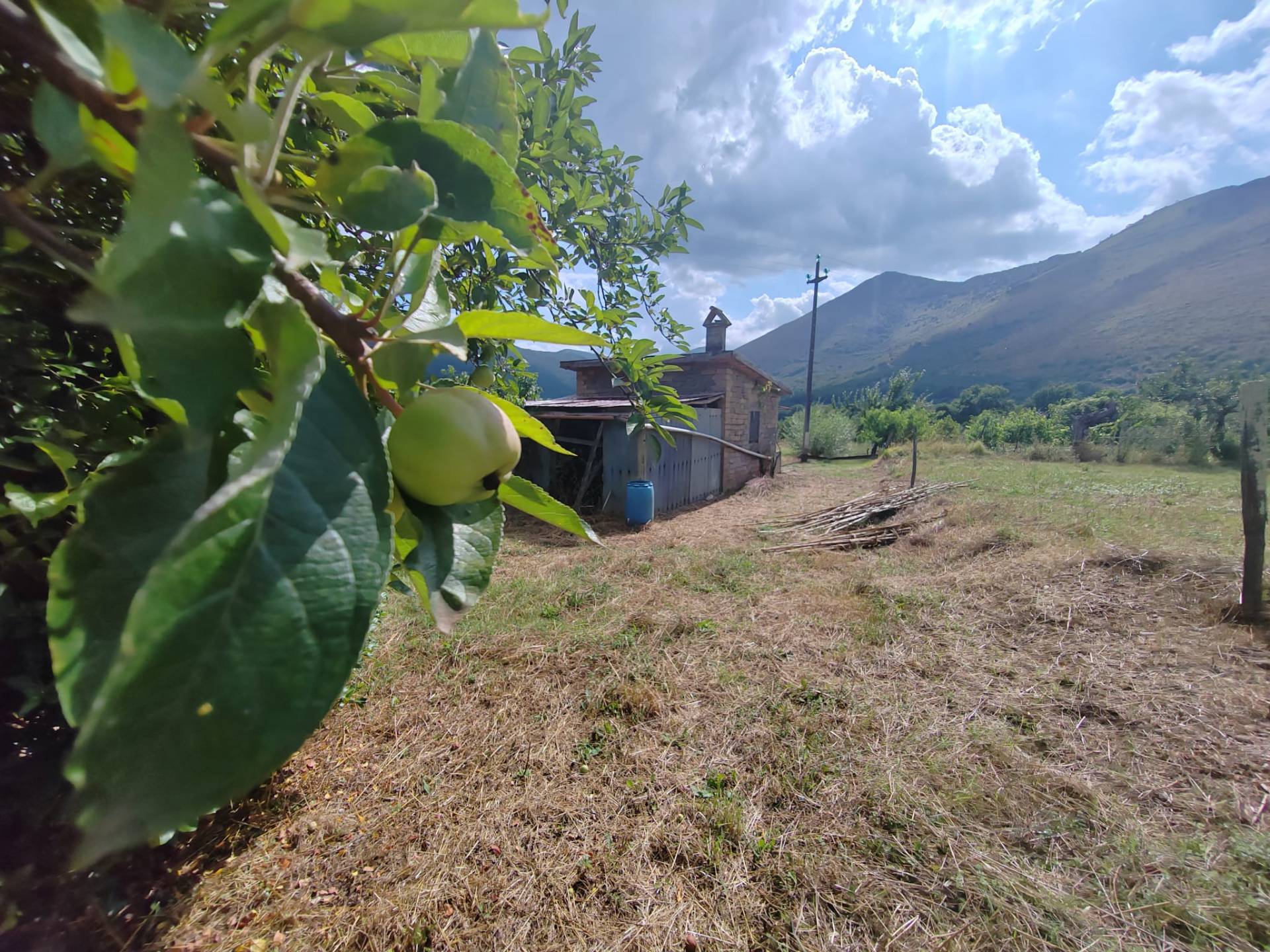 FABBRICATO in vendita a Vallecorsa