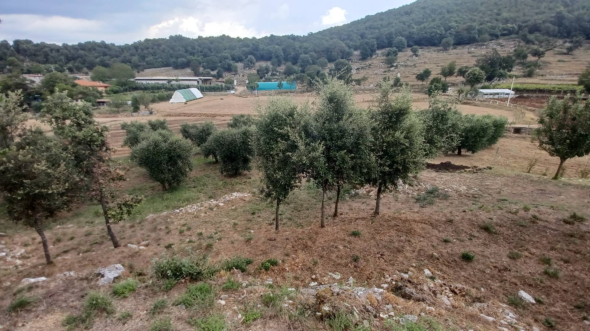 Villa in vendita a Amaseno