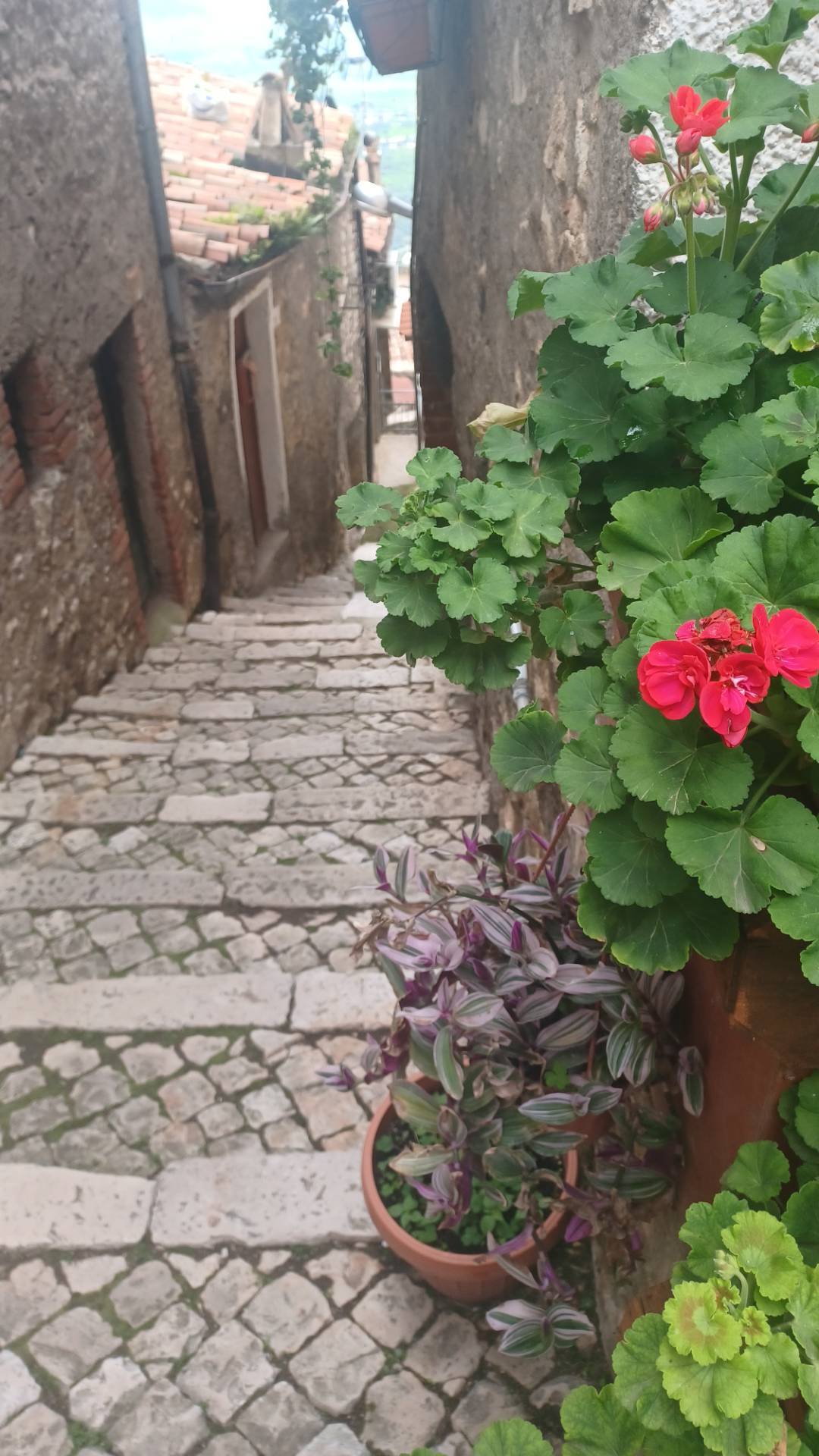 Appartamento in vendita a Maenza