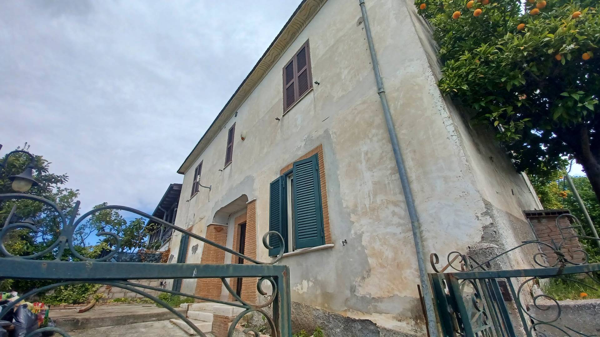 immagine annuncio 1 di 6
