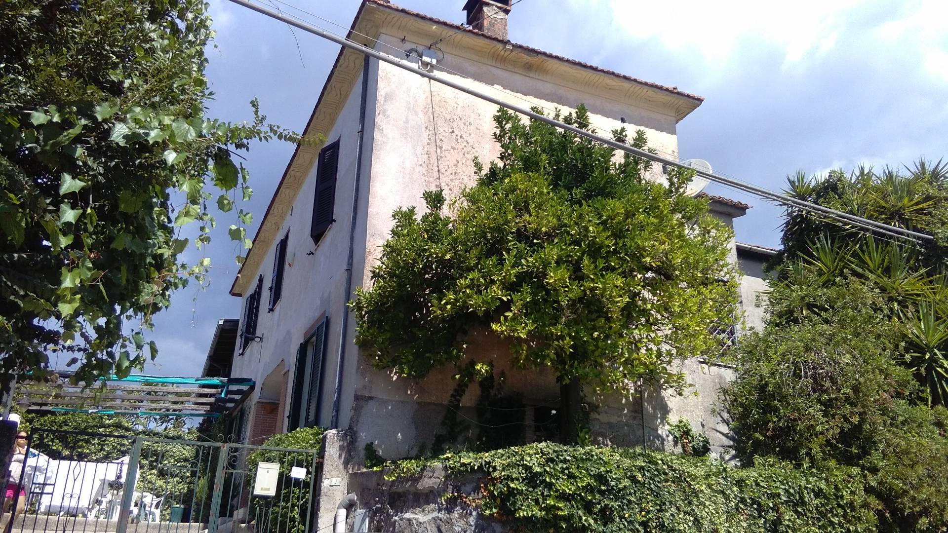 immagine annuncio 2 di 6