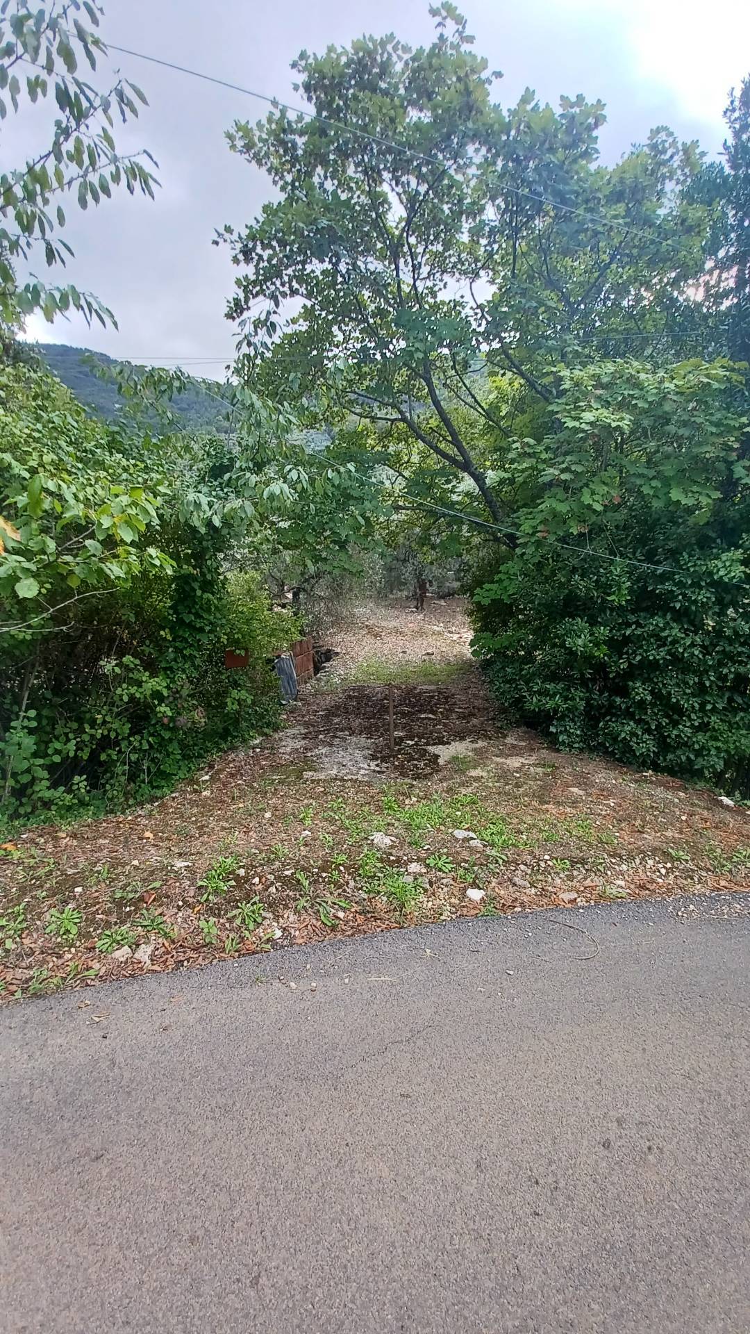Terreno Agricolo in vendita a Sonnino
