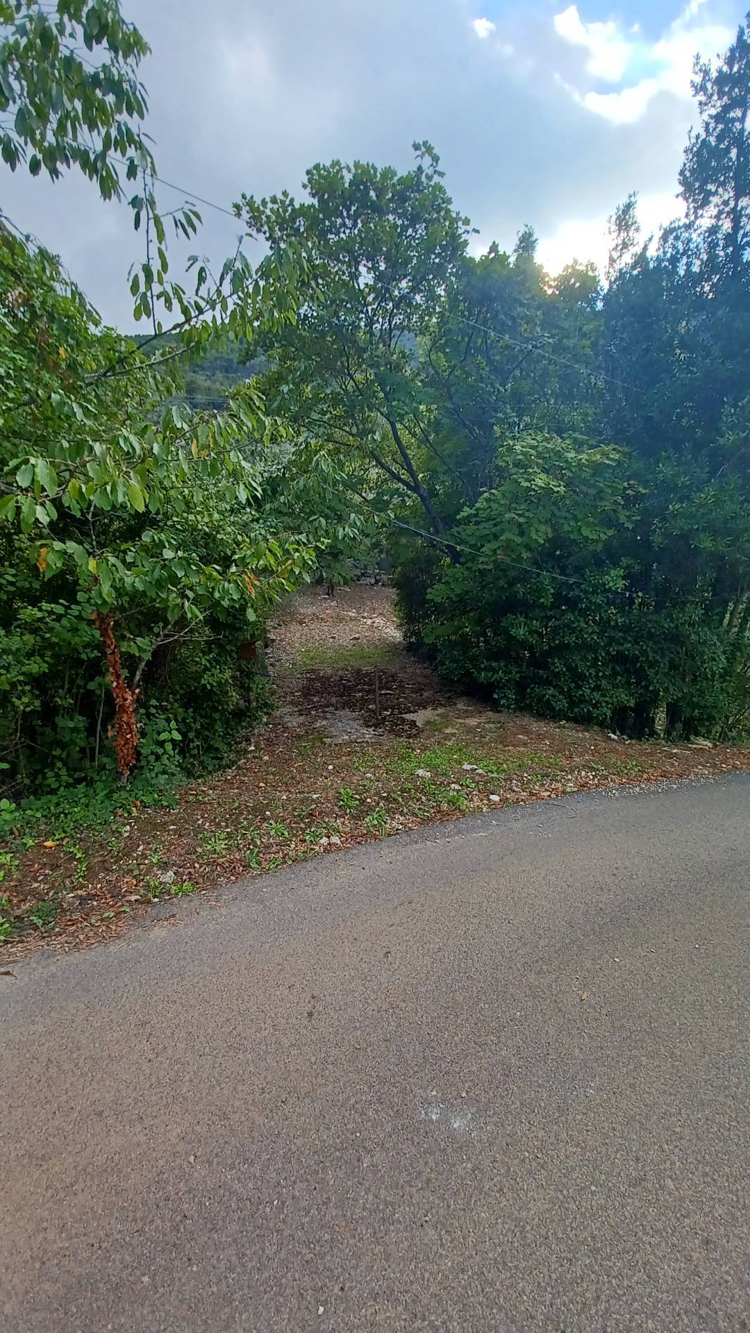 Terreno Agricolo in vendita a Sonnino