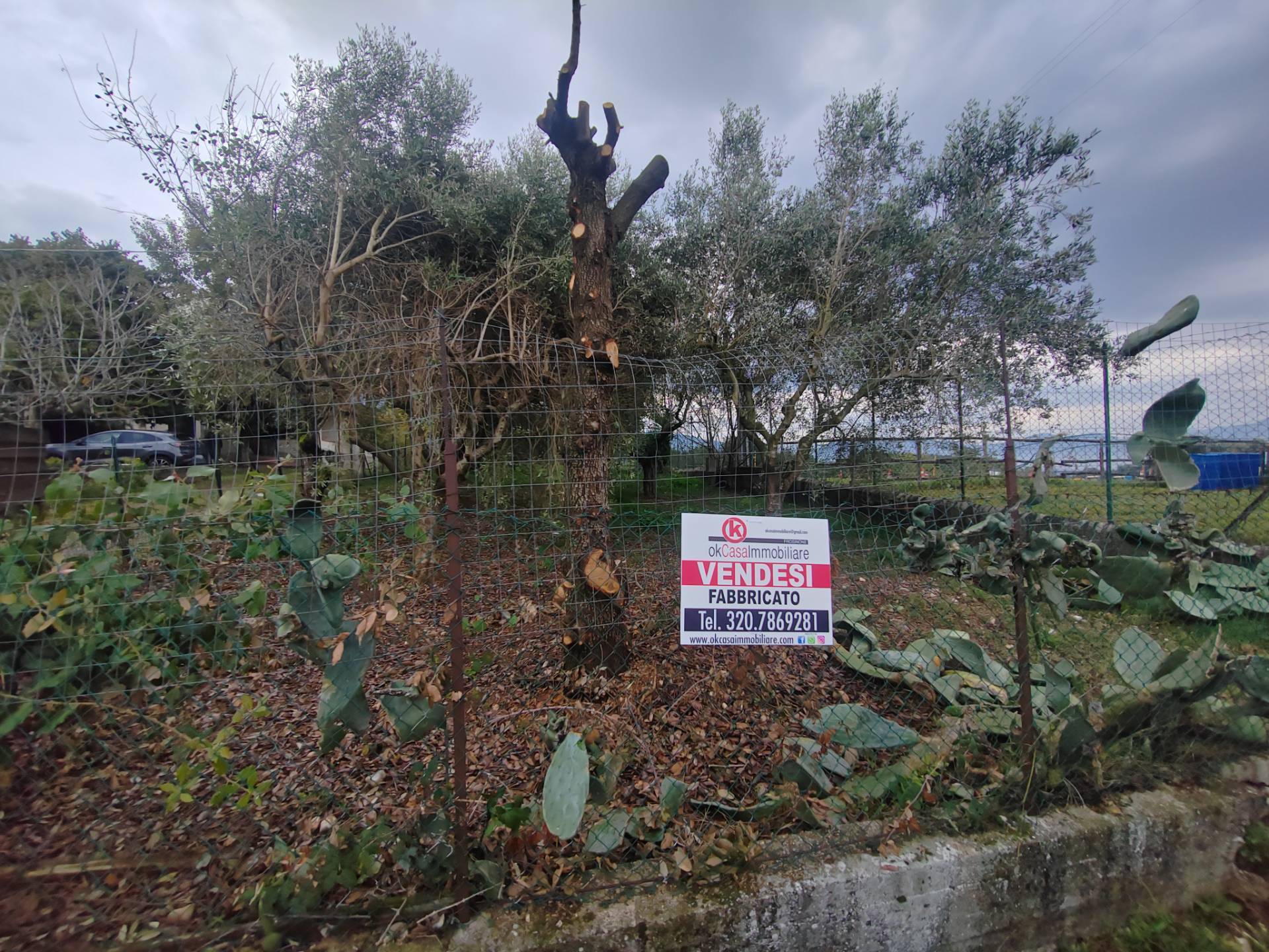 Casa indipendente in vendita a Giuliano di Roma