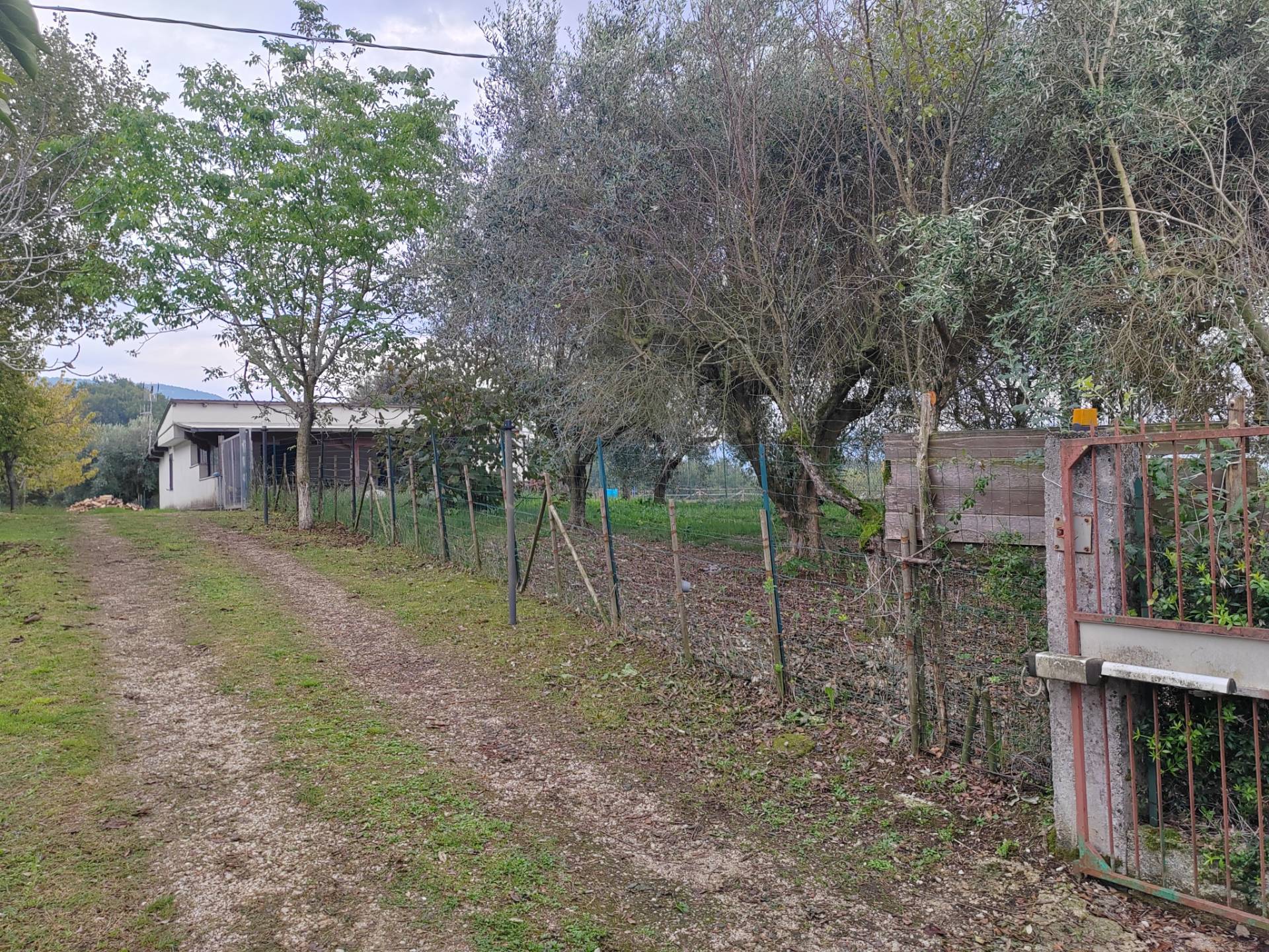 Casa indipendente in vendita a Giuliano di Roma