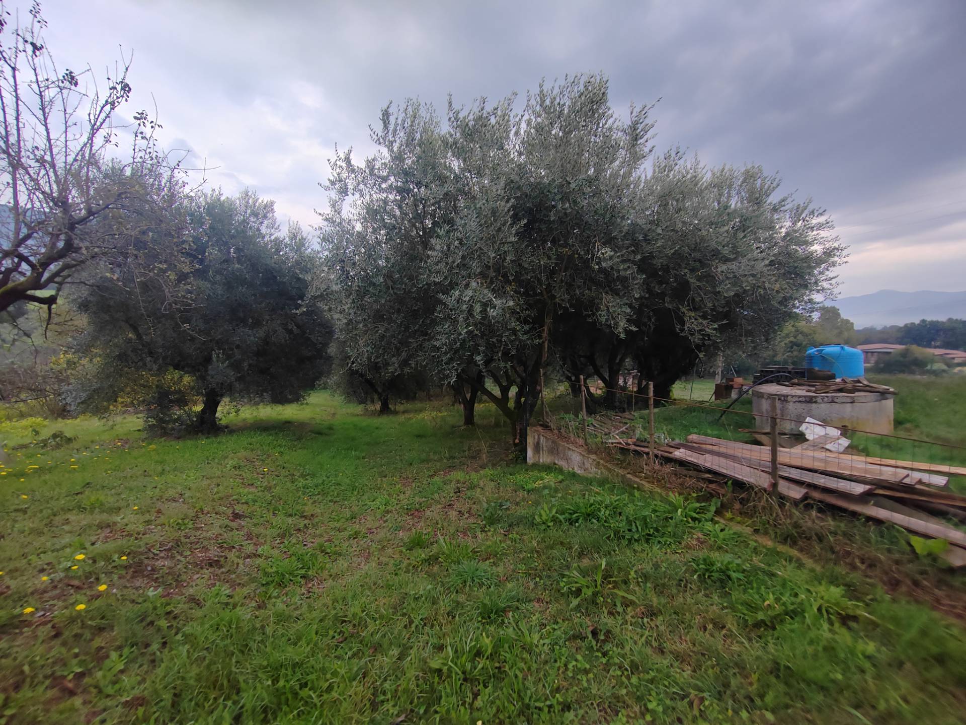 Casa indipendente in vendita a Giuliano di Roma