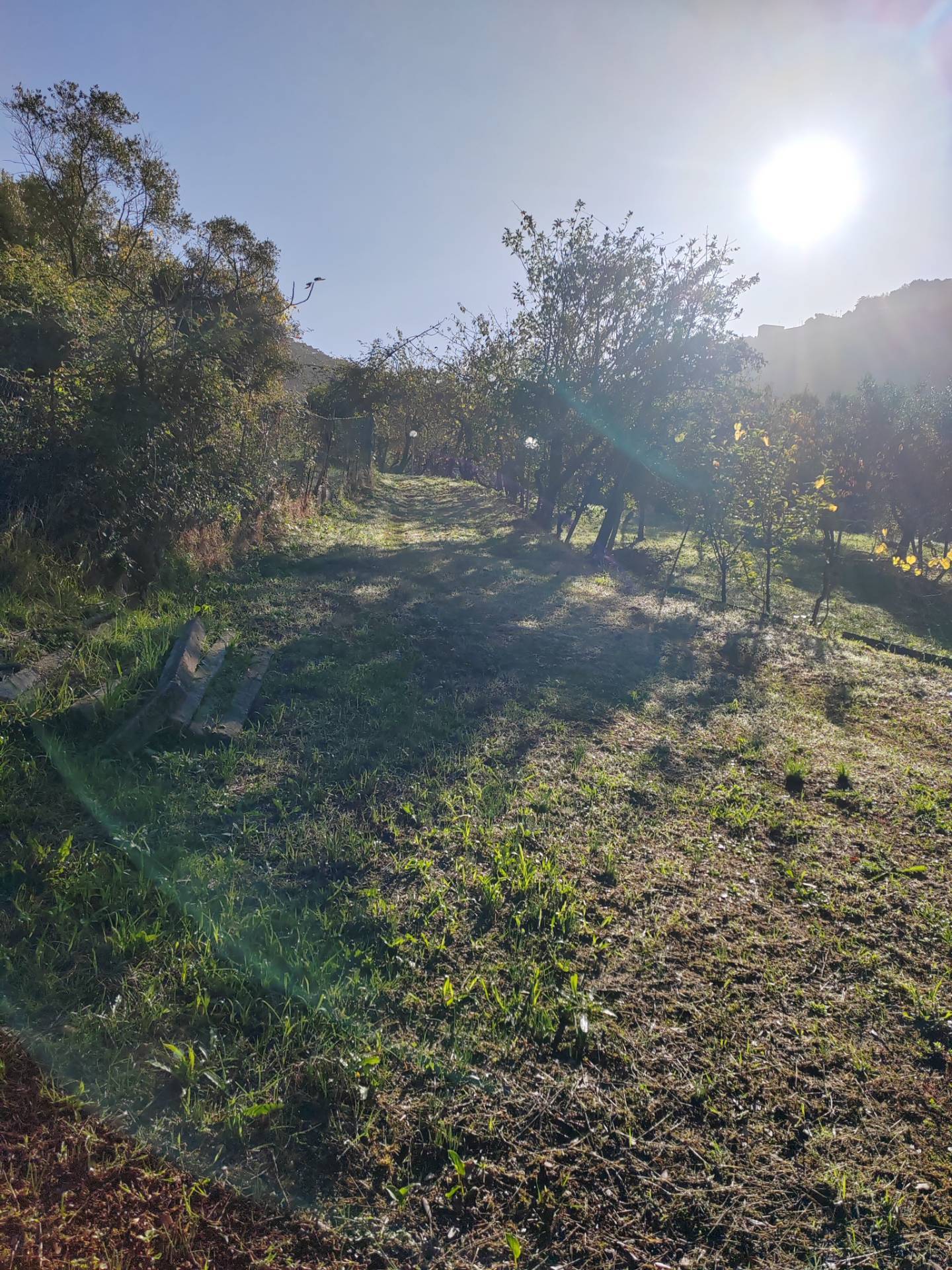 Casa indipendente in vendita a Maenza