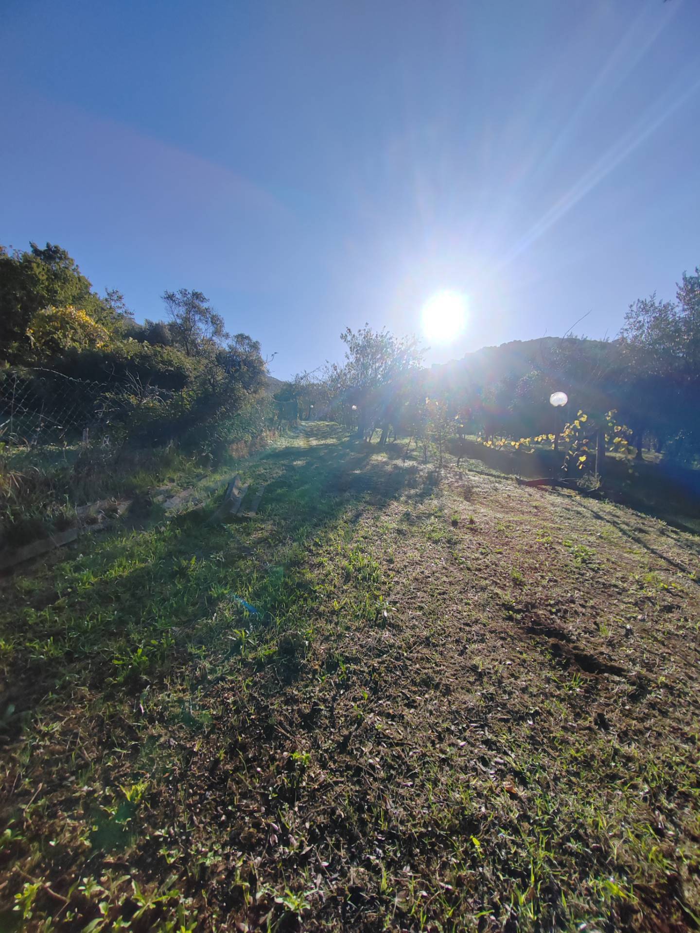Casa indipendente in vendita a Maenza