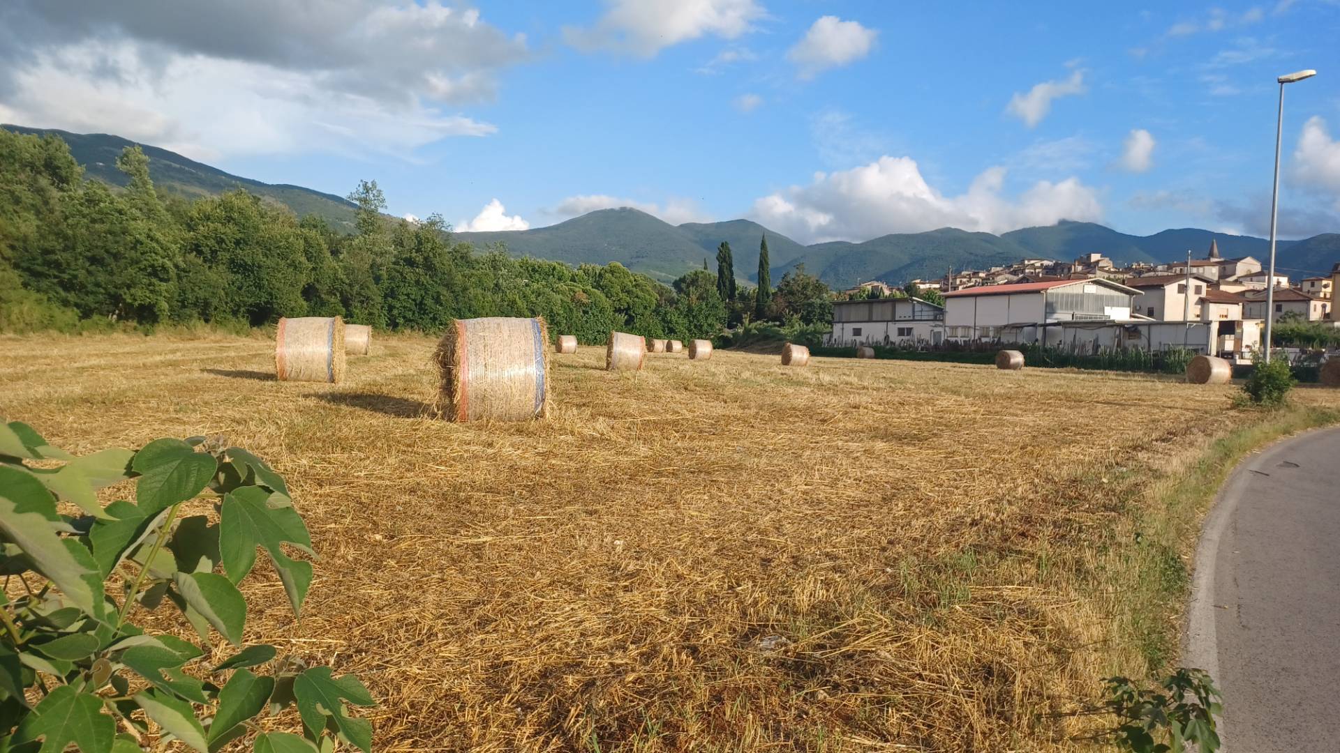 Terreno Agricolo in vendita a Amaseno