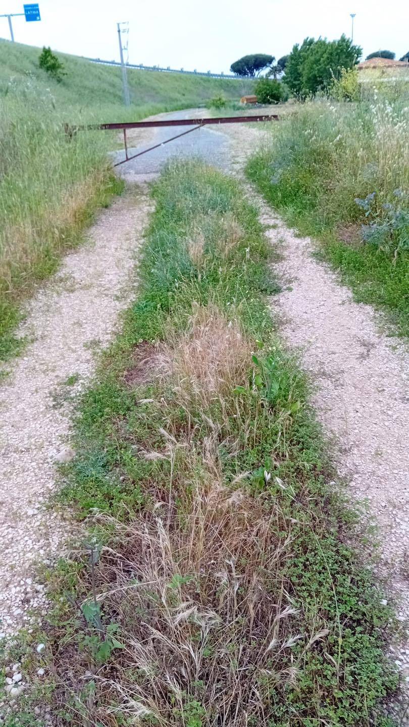 immagine annuncio 3 di 4