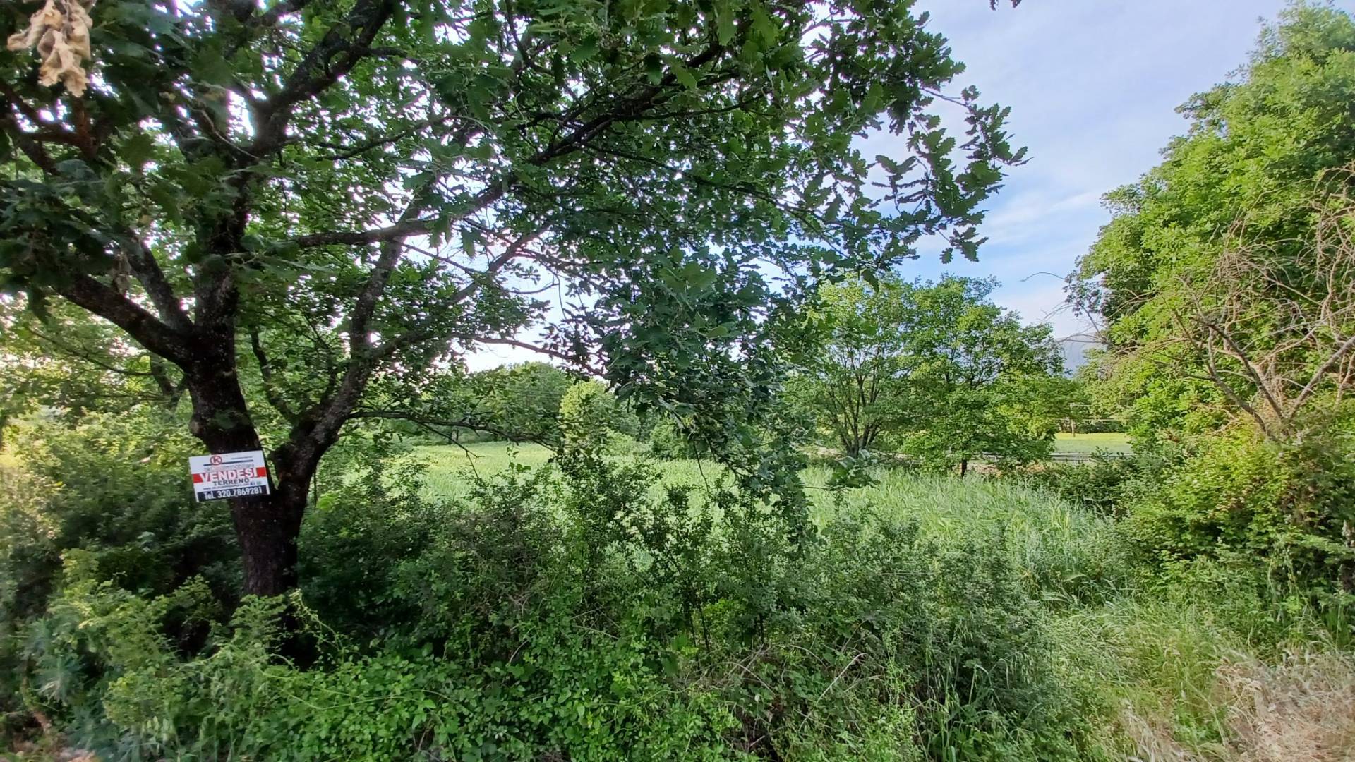 Terreno Agricolo in vendita a Amaseno