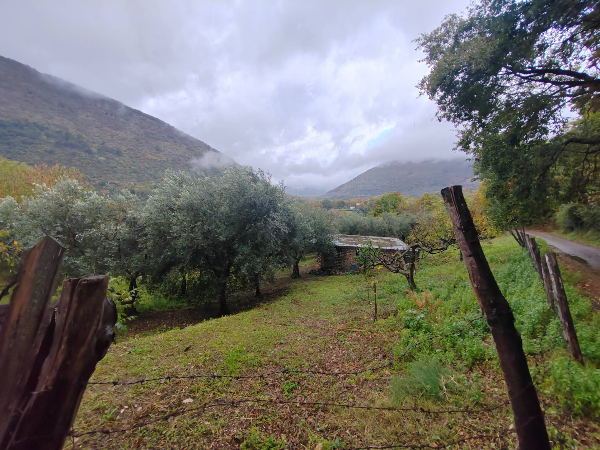 Terreno Agricolo in vendita a Maenza