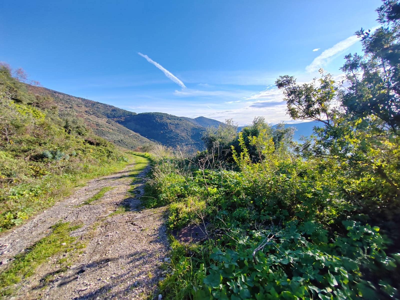 Terreno edificabile in vendita a Maenza
