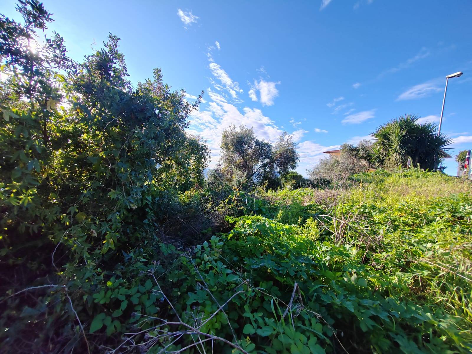 Terreno edificabile in vendita a Maenza