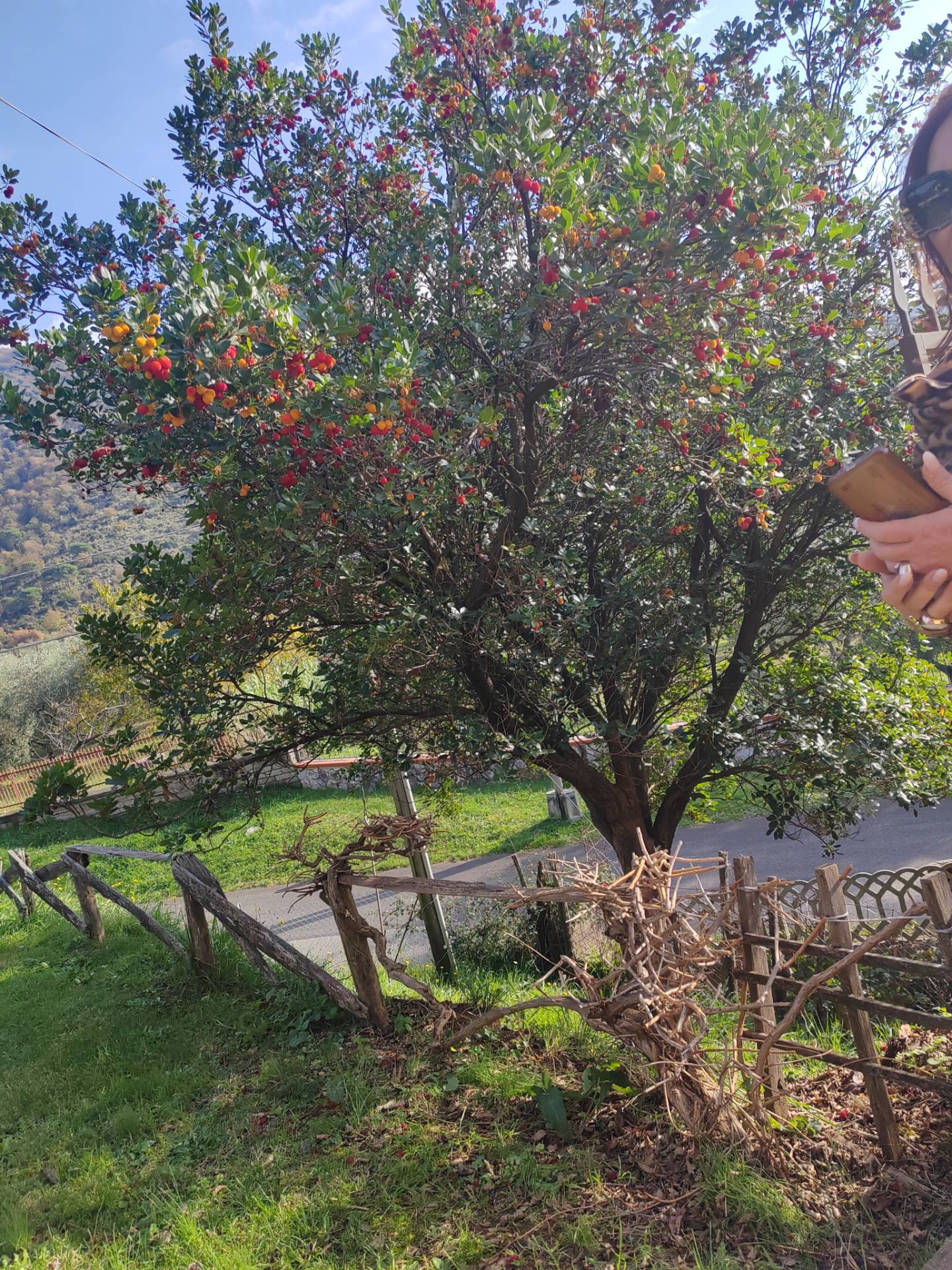 Villa in vendita a Maenza