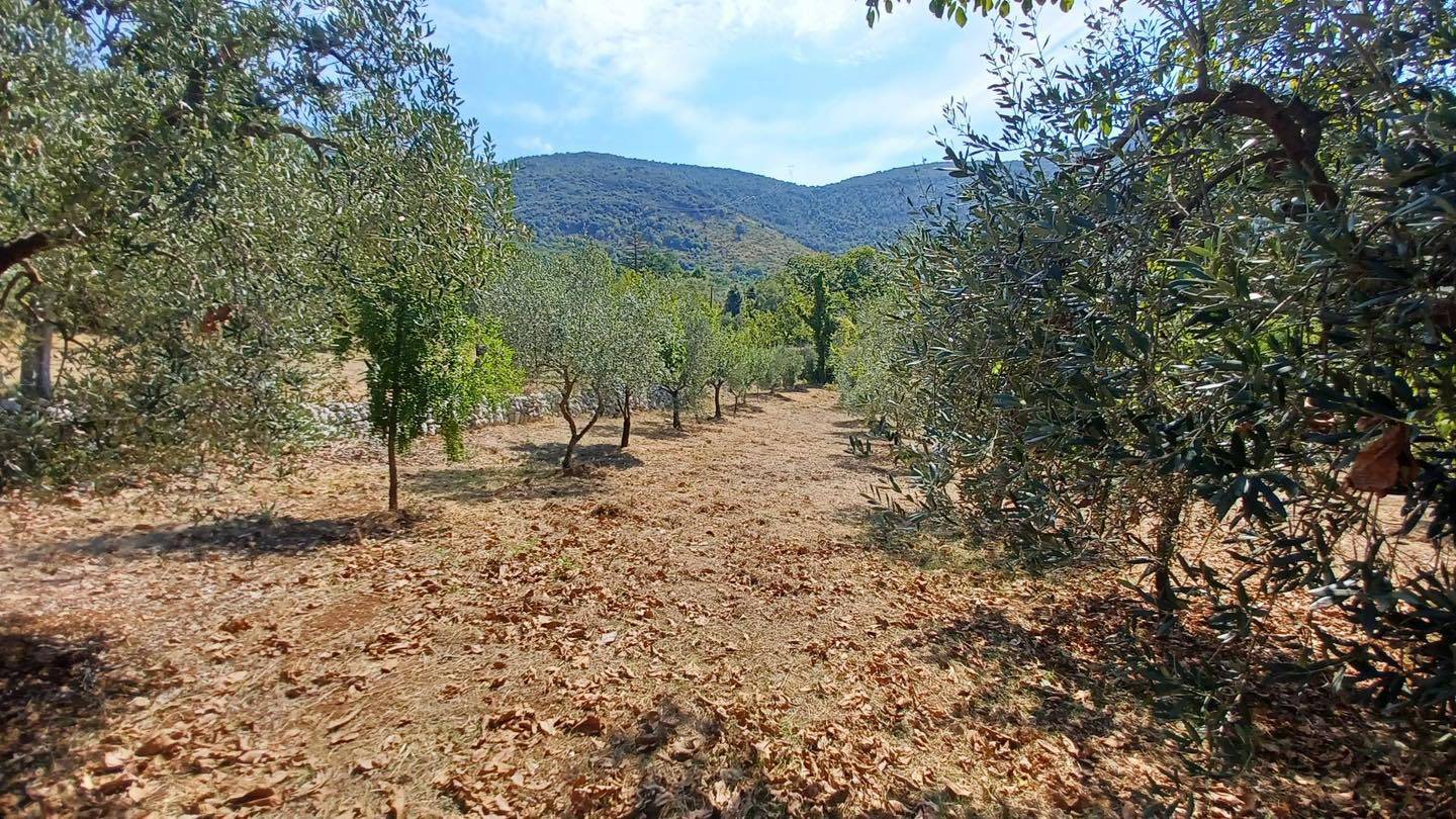 Terreno Agricolo in vendita a Maenza