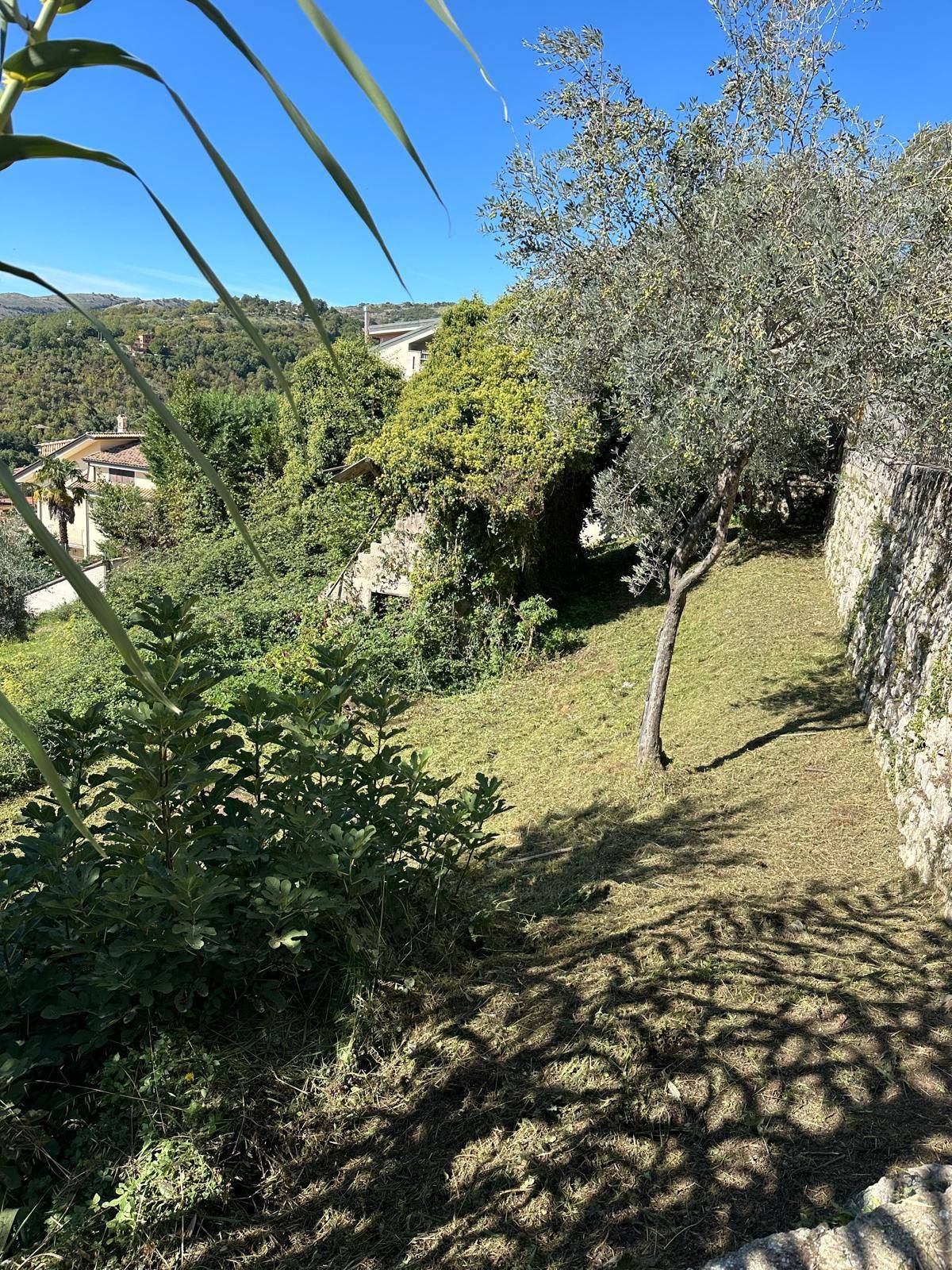 Terreno edificabile in vendita a Fiuggi