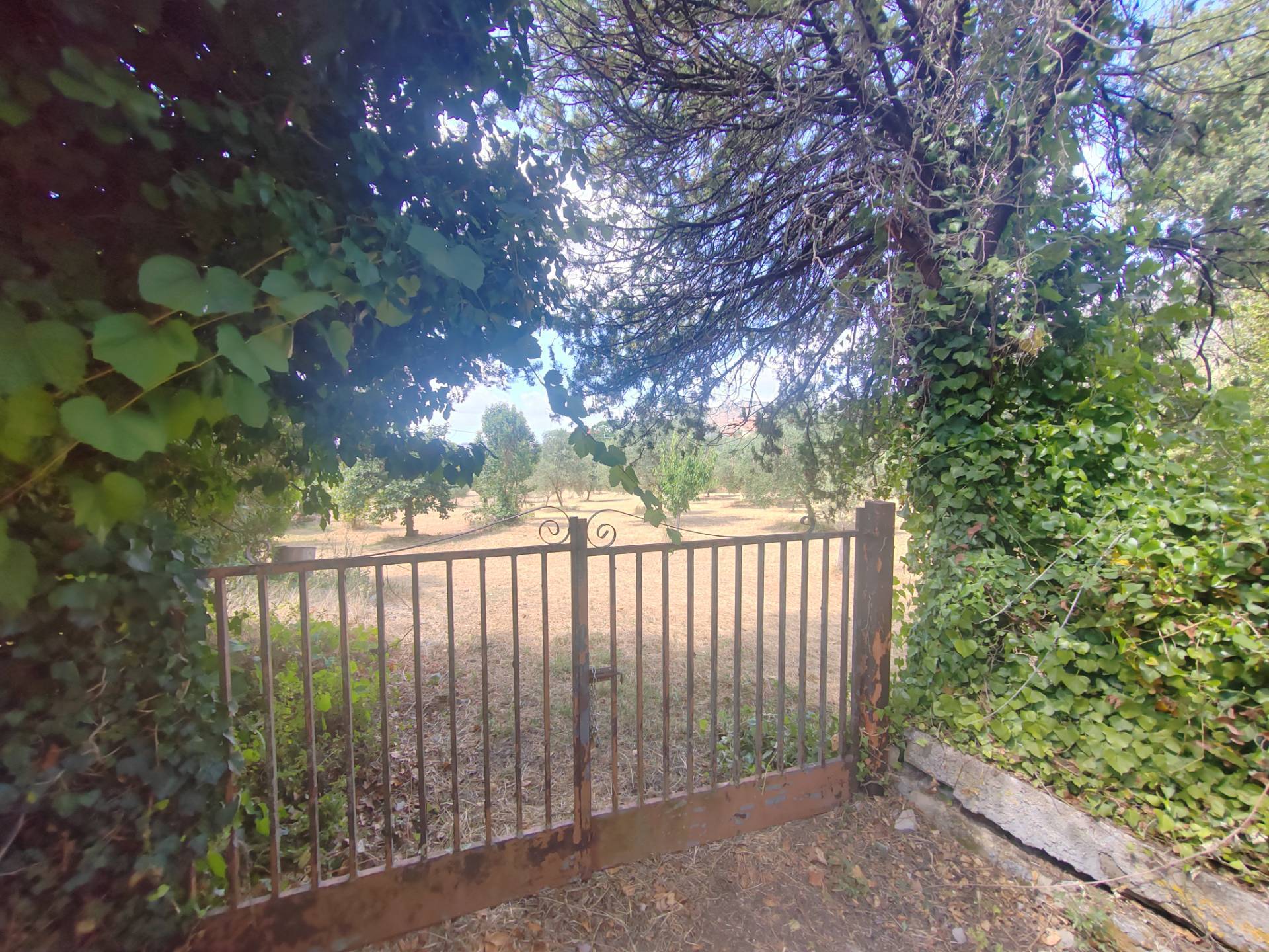 Terreno edificabile in vendita a Maenza