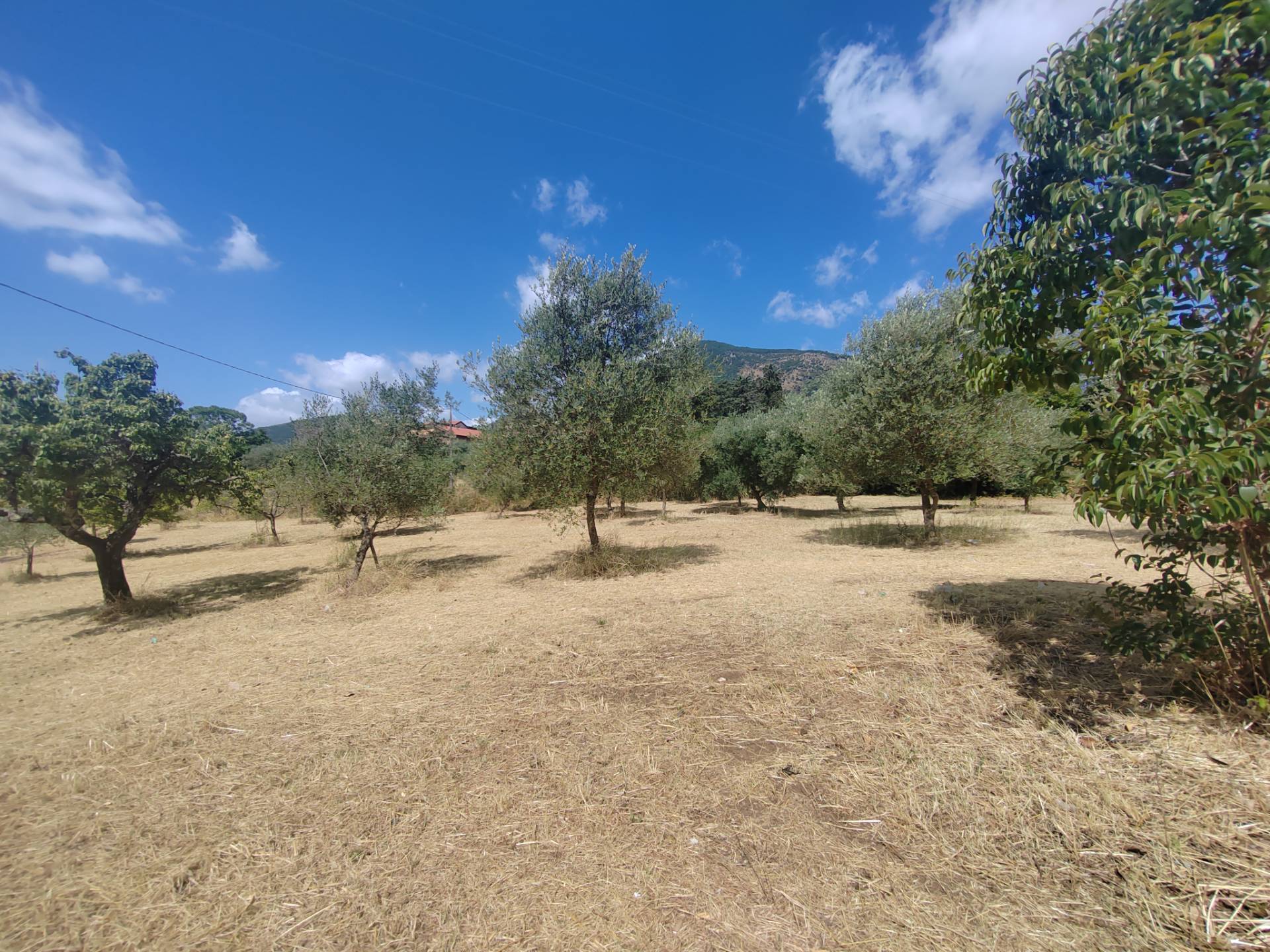 Terreno edificabile in vendita a Maenza