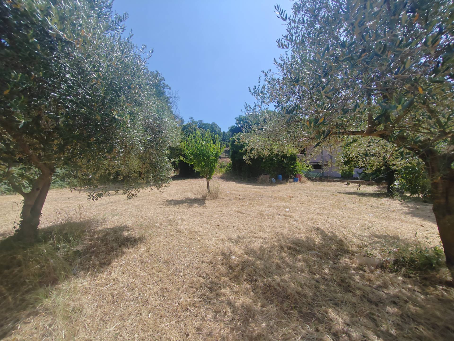 Terreno edificabile in vendita a Maenza