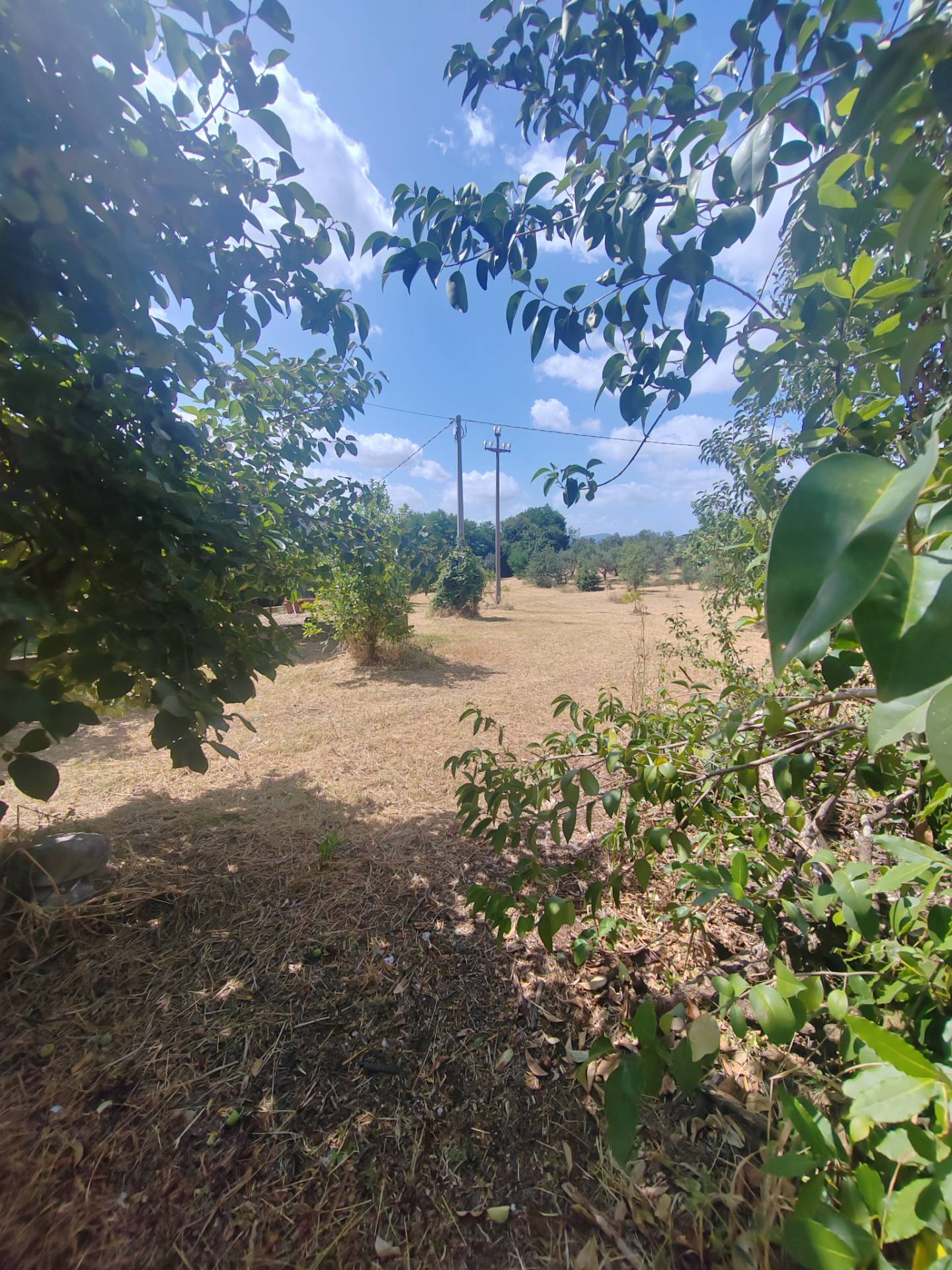 Terreno edificabile in vendita a Maenza