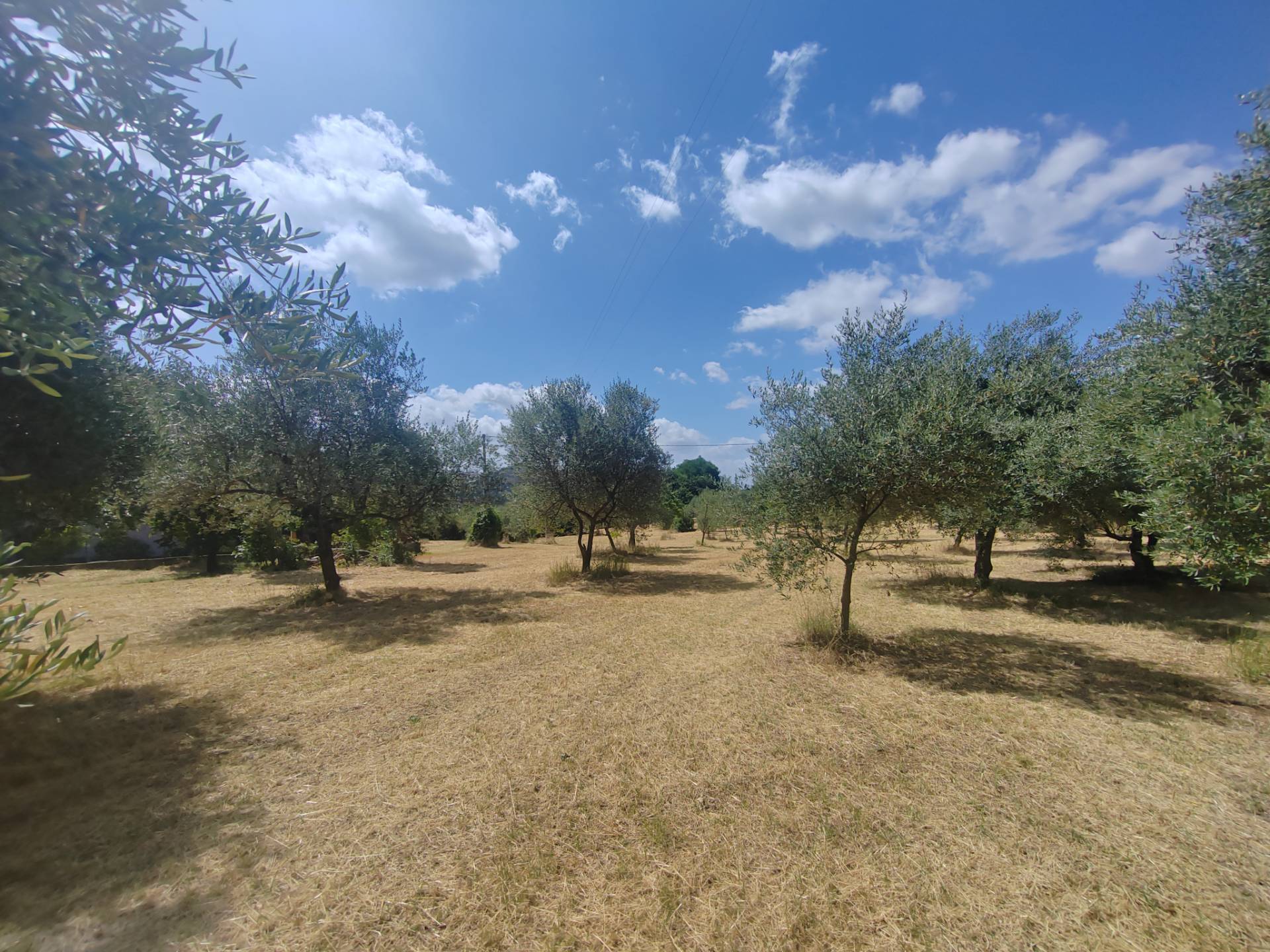 Terreno edificabile in vendita a Maenza