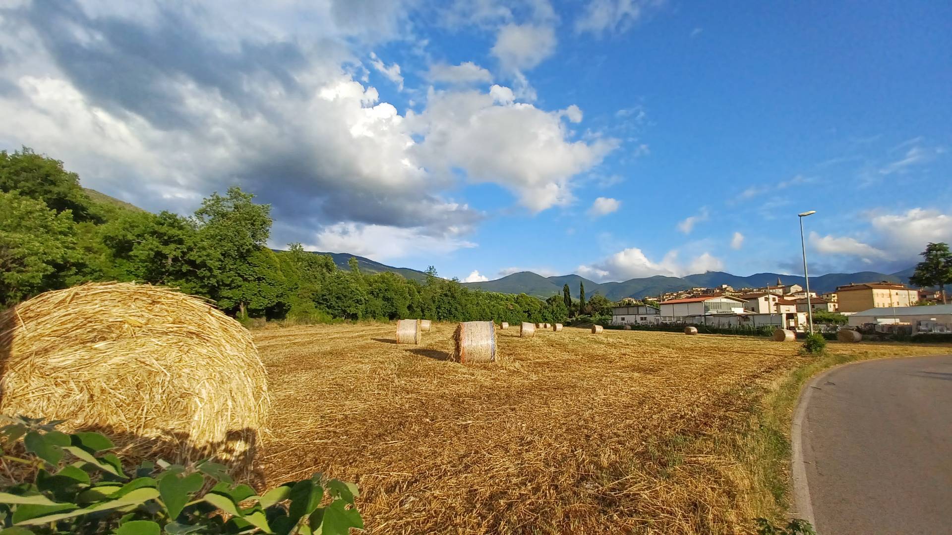 Terreno Agricolo in vendita a Amaseno