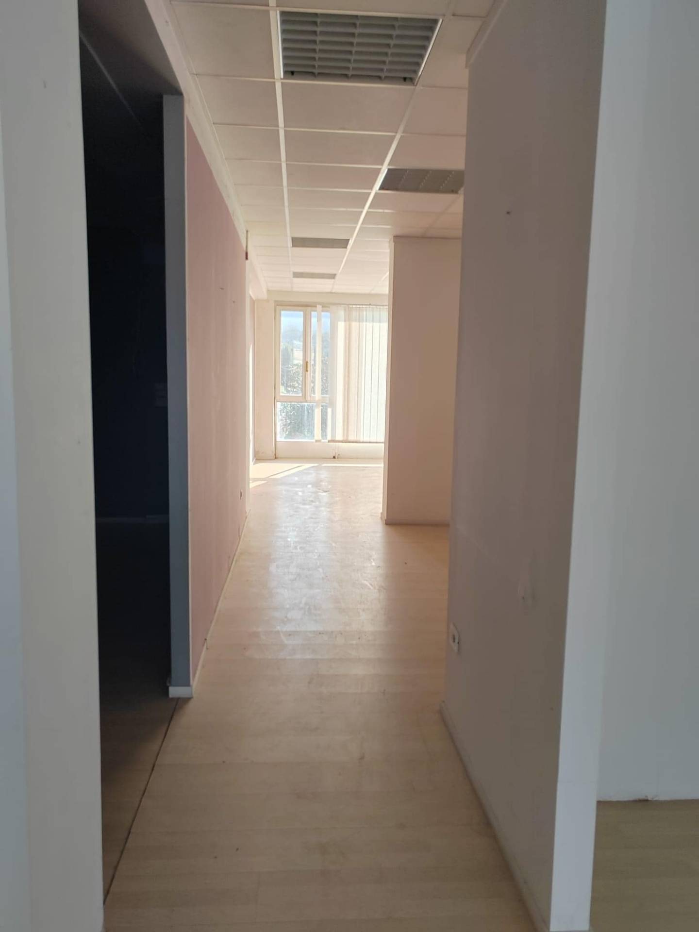 Attivit commerciale in affitto a Ceccano