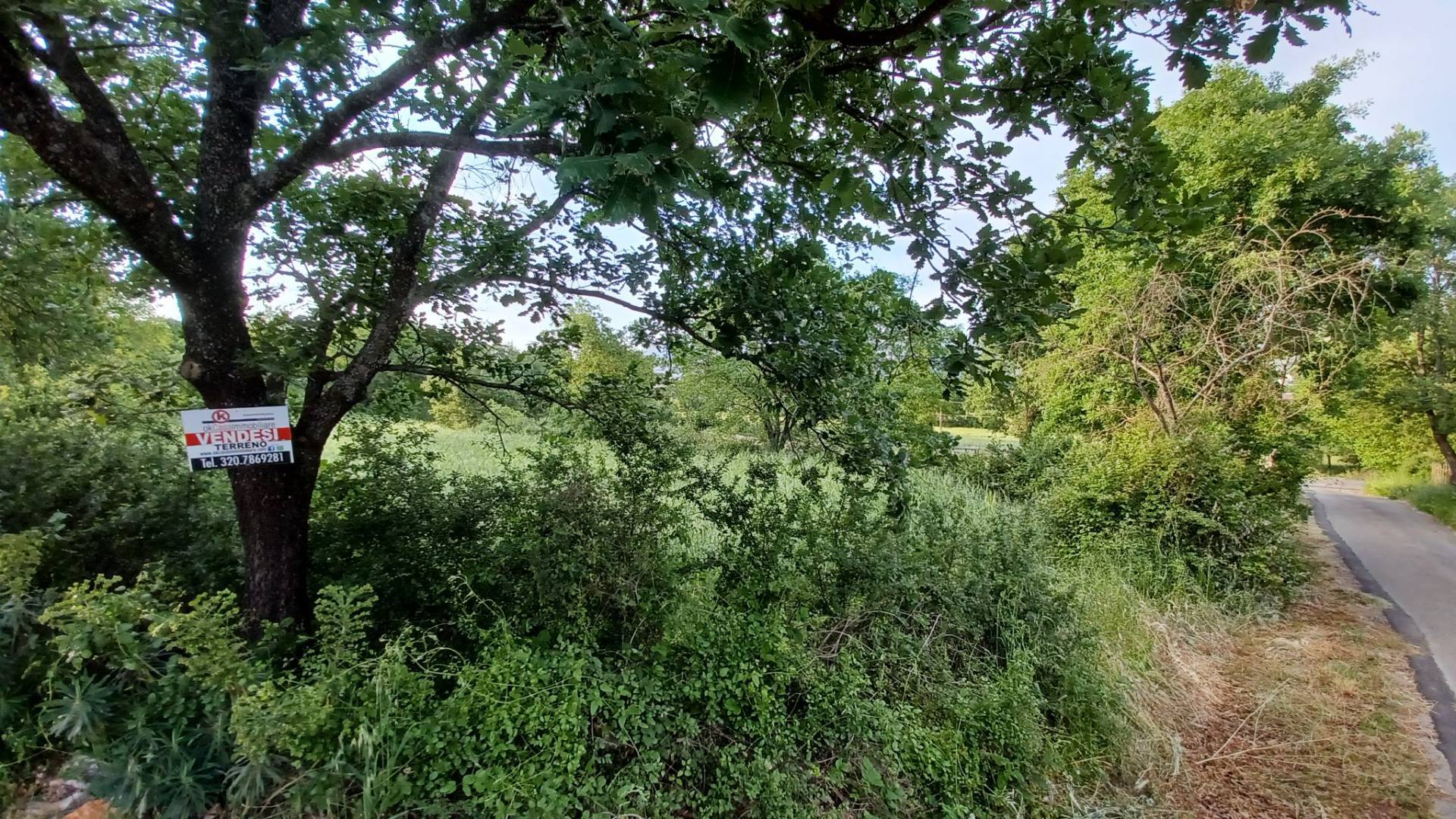 Terreno Agricolo in vendita a Amaseno