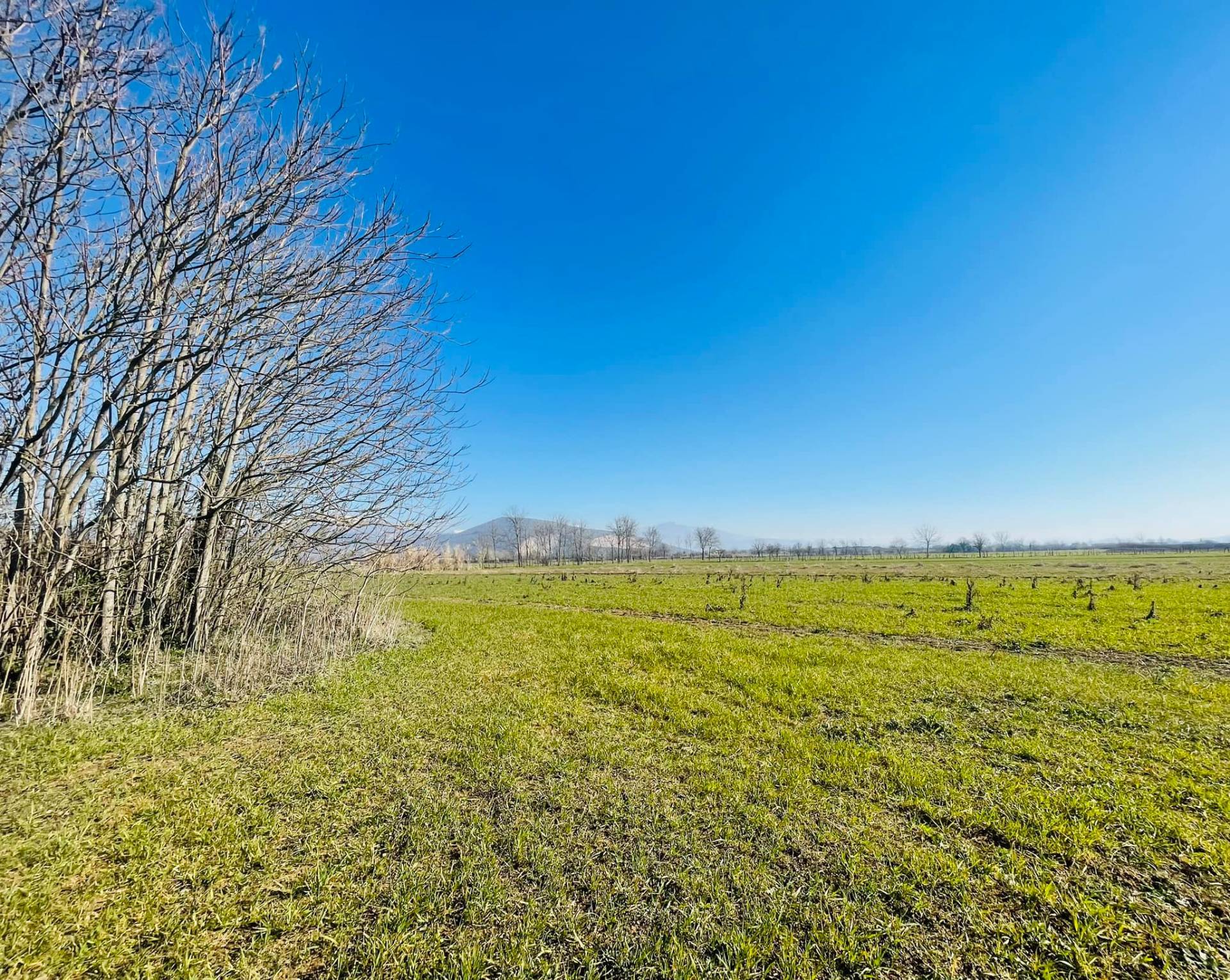 Rustico in vendita a Ferentino
