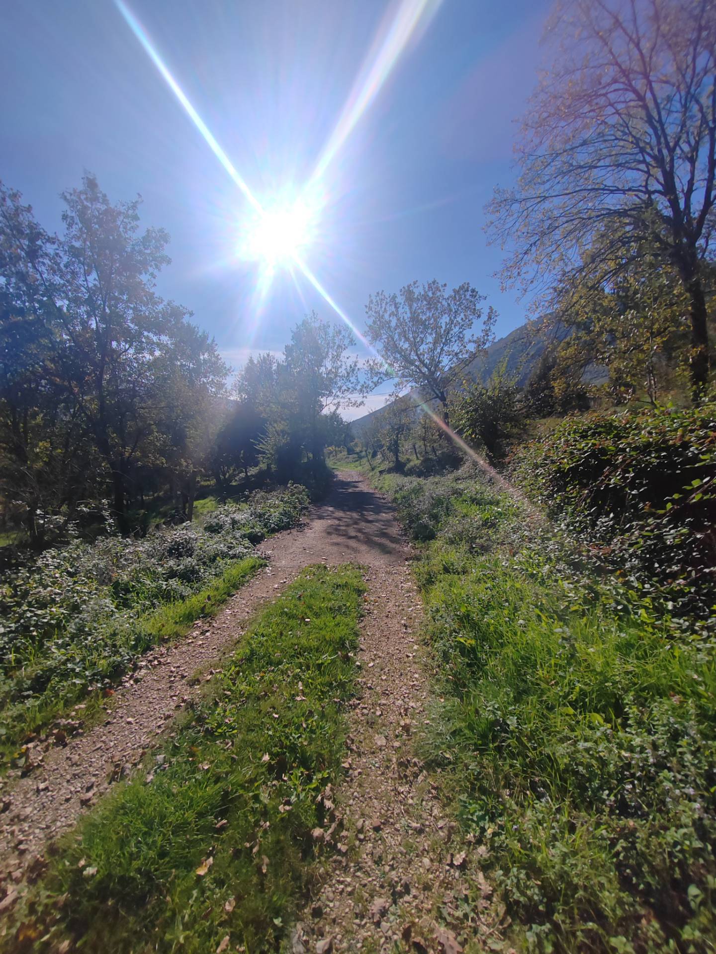 Casa indipendente in vendita a Vallecorsa