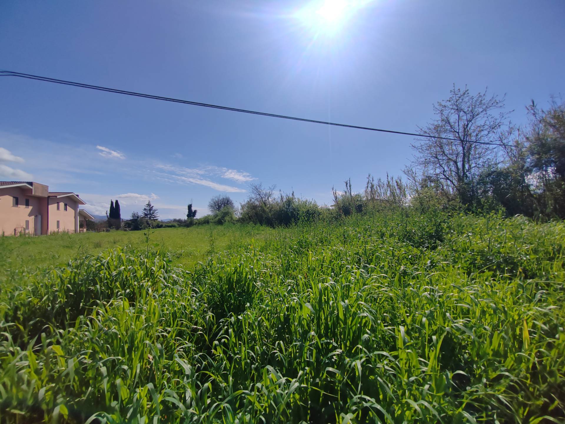Terreno Agricolo in vendita a Maenza