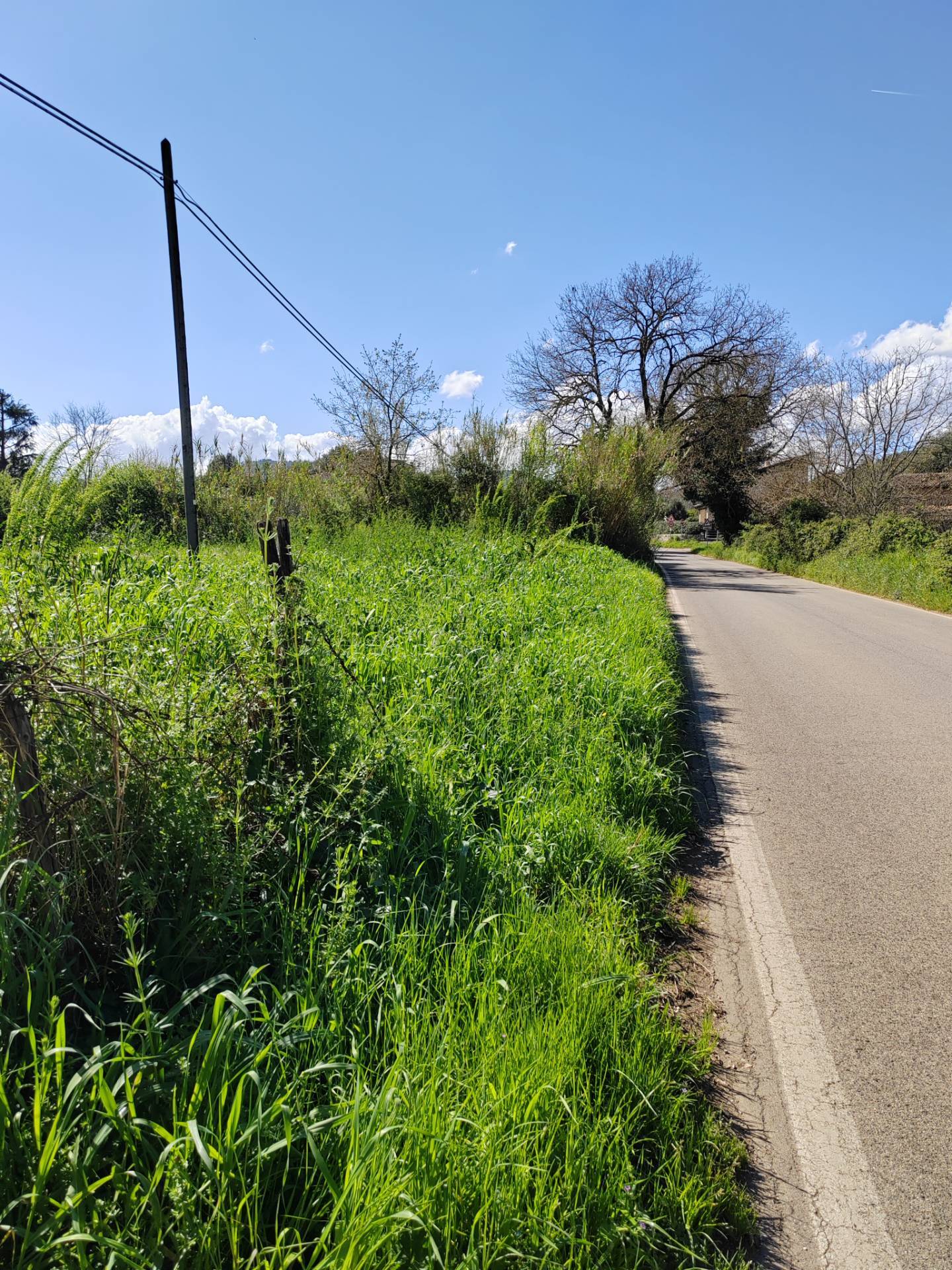Terreno Agricolo in vendita a Maenza