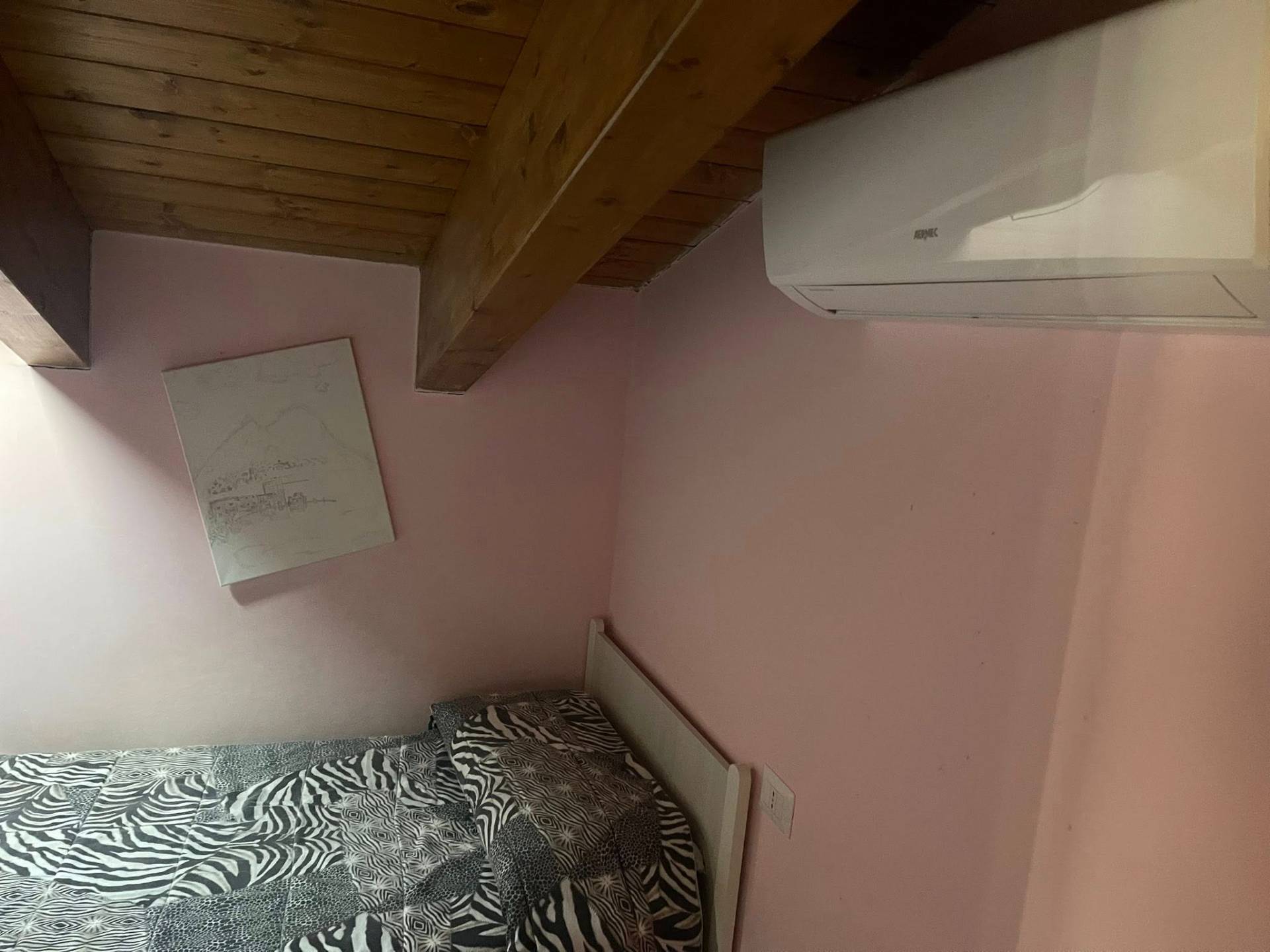 Appartamento in affitto a Frosinone