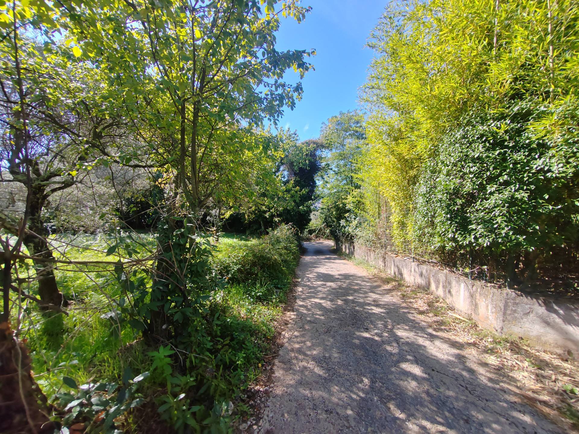 Terreno Agricolo in vendita a Maenza