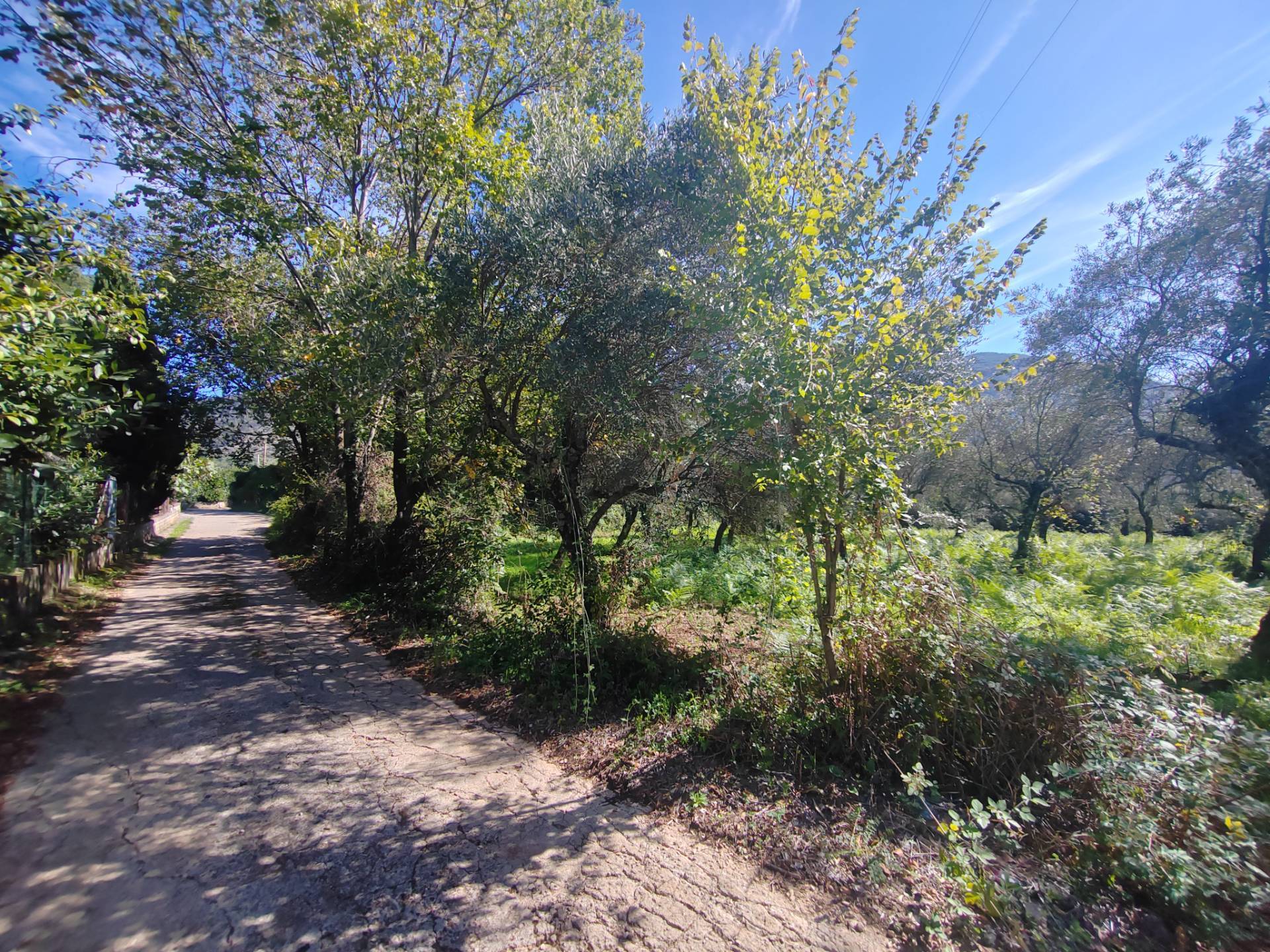 Terreno Agricolo in vendita a Maenza