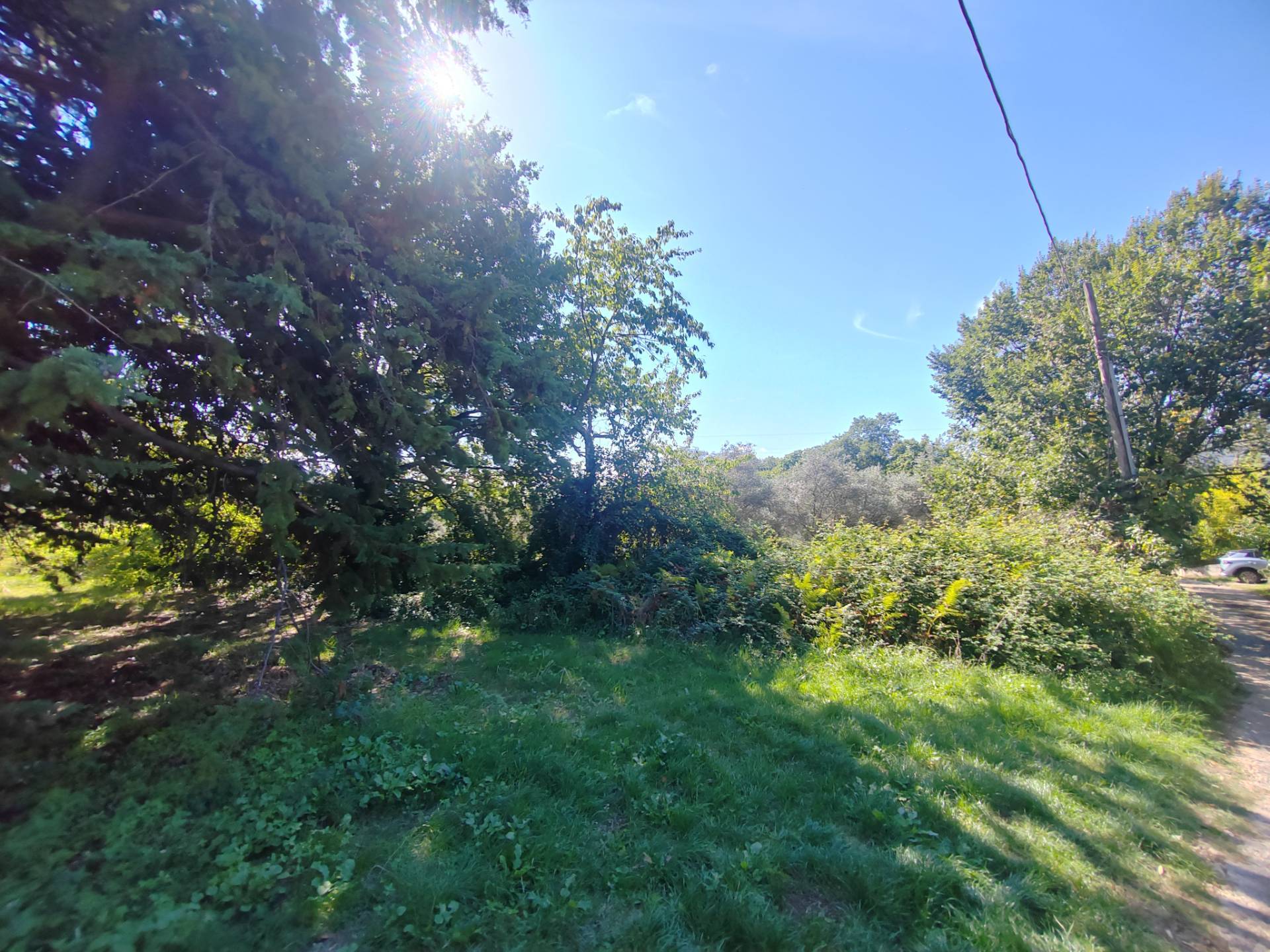 Terreno Agricolo in vendita a Maenza