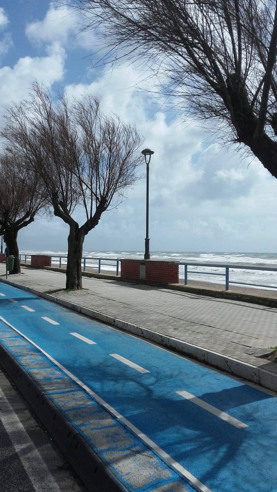 Attivit commerciale in vendita a Terracina