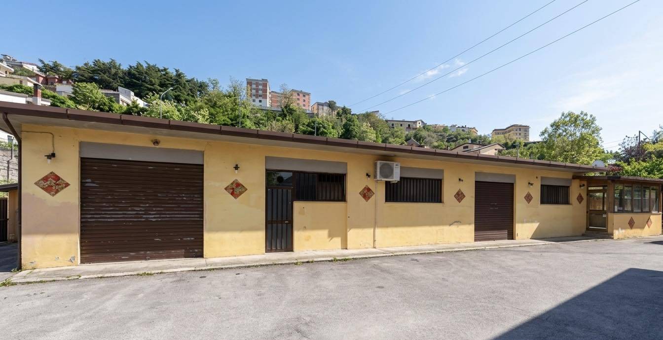 locale artigianale in vendita a Alatri