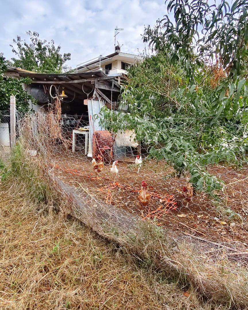 Magazzino in vendita a Maenza