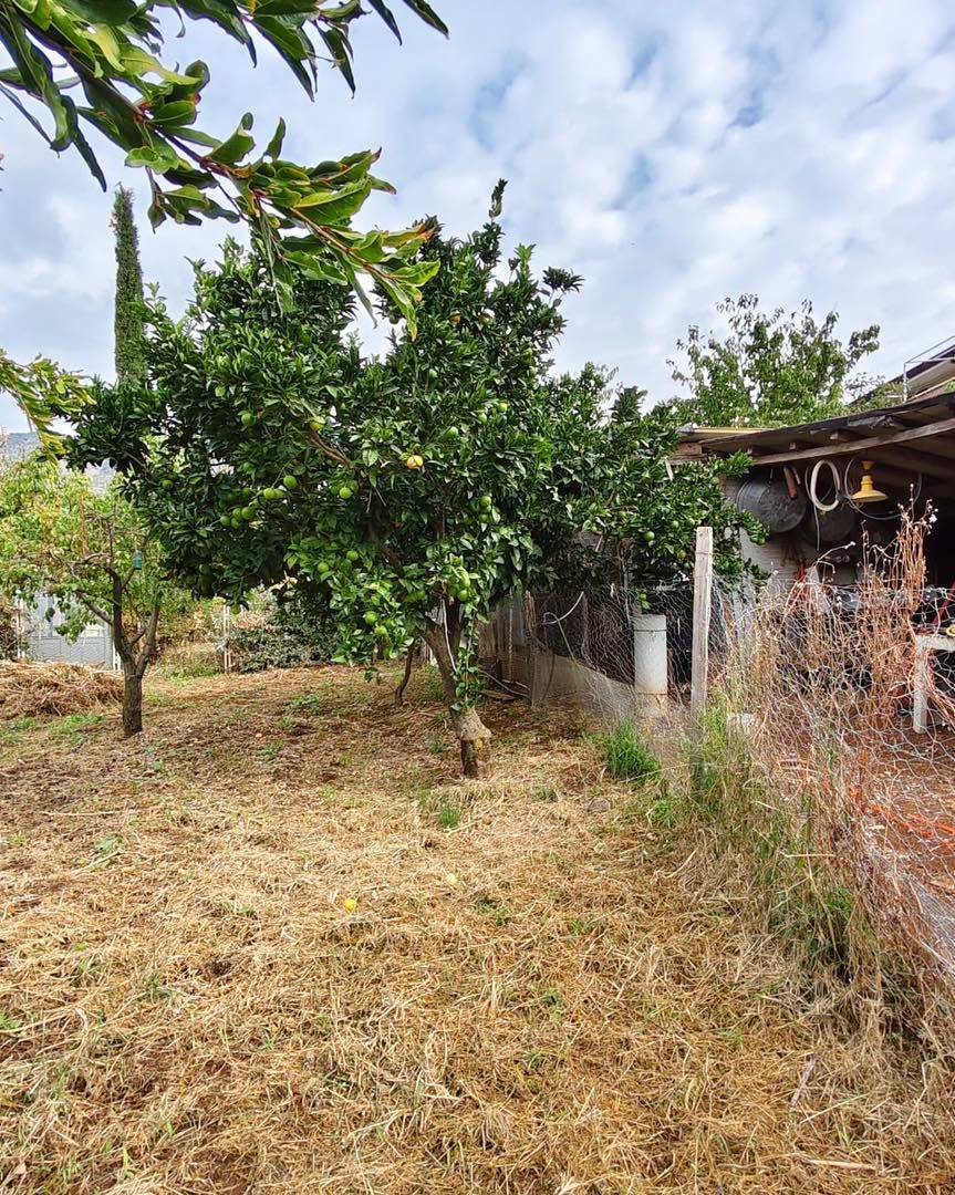 Magazzino in vendita a Maenza