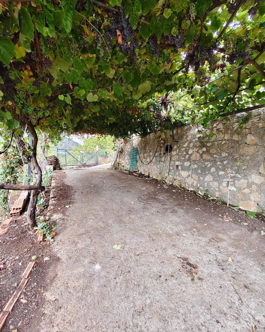 Magazzino in vendita a Maenza