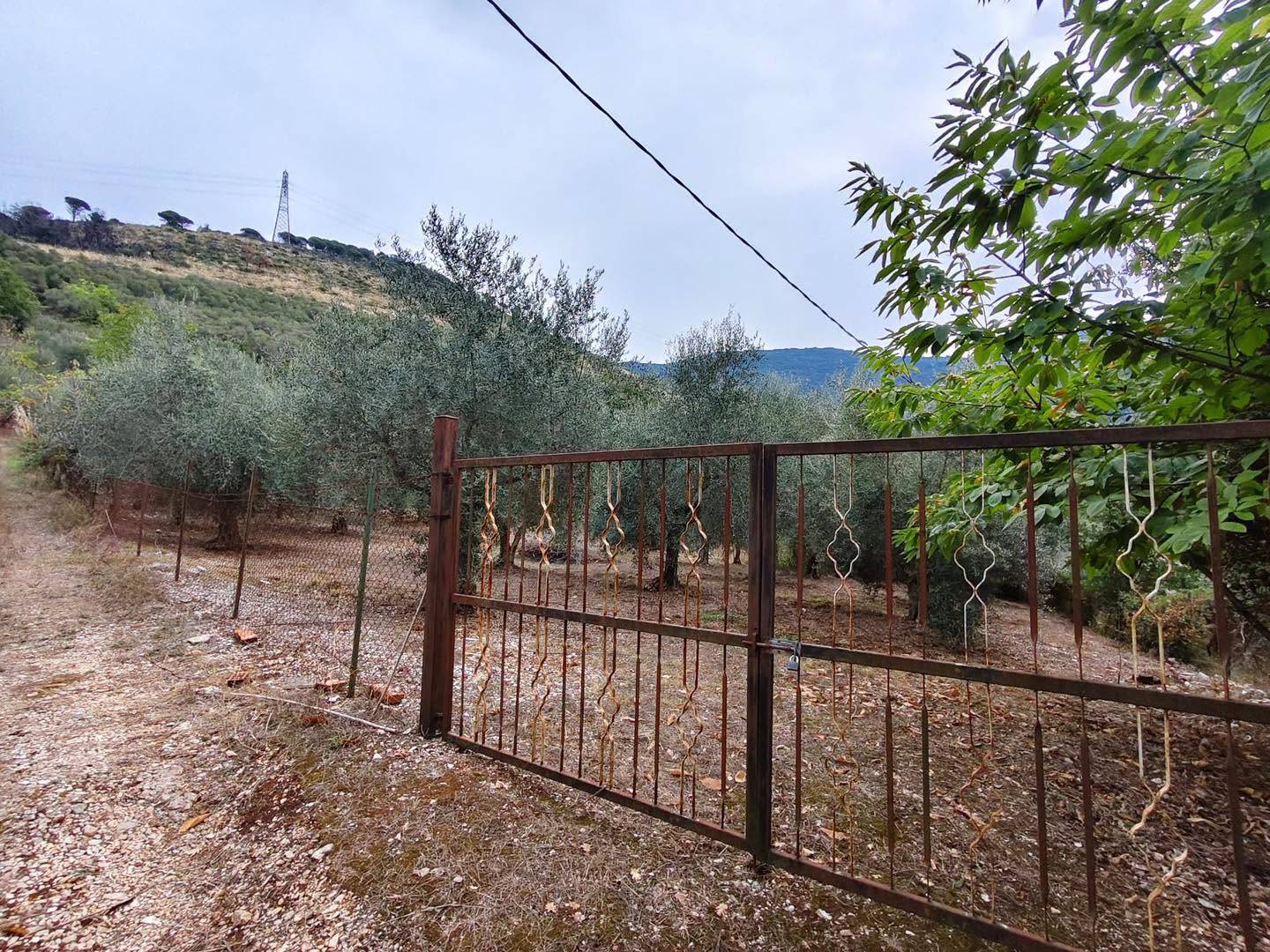 Terreno Agricolo in vendita a Maenza