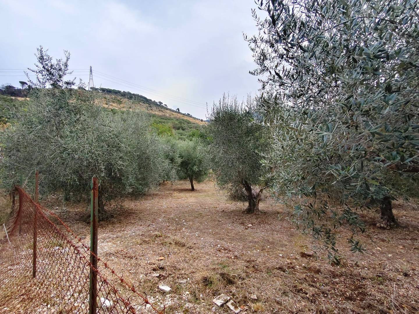 Terreno Agricolo in vendita a Maenza