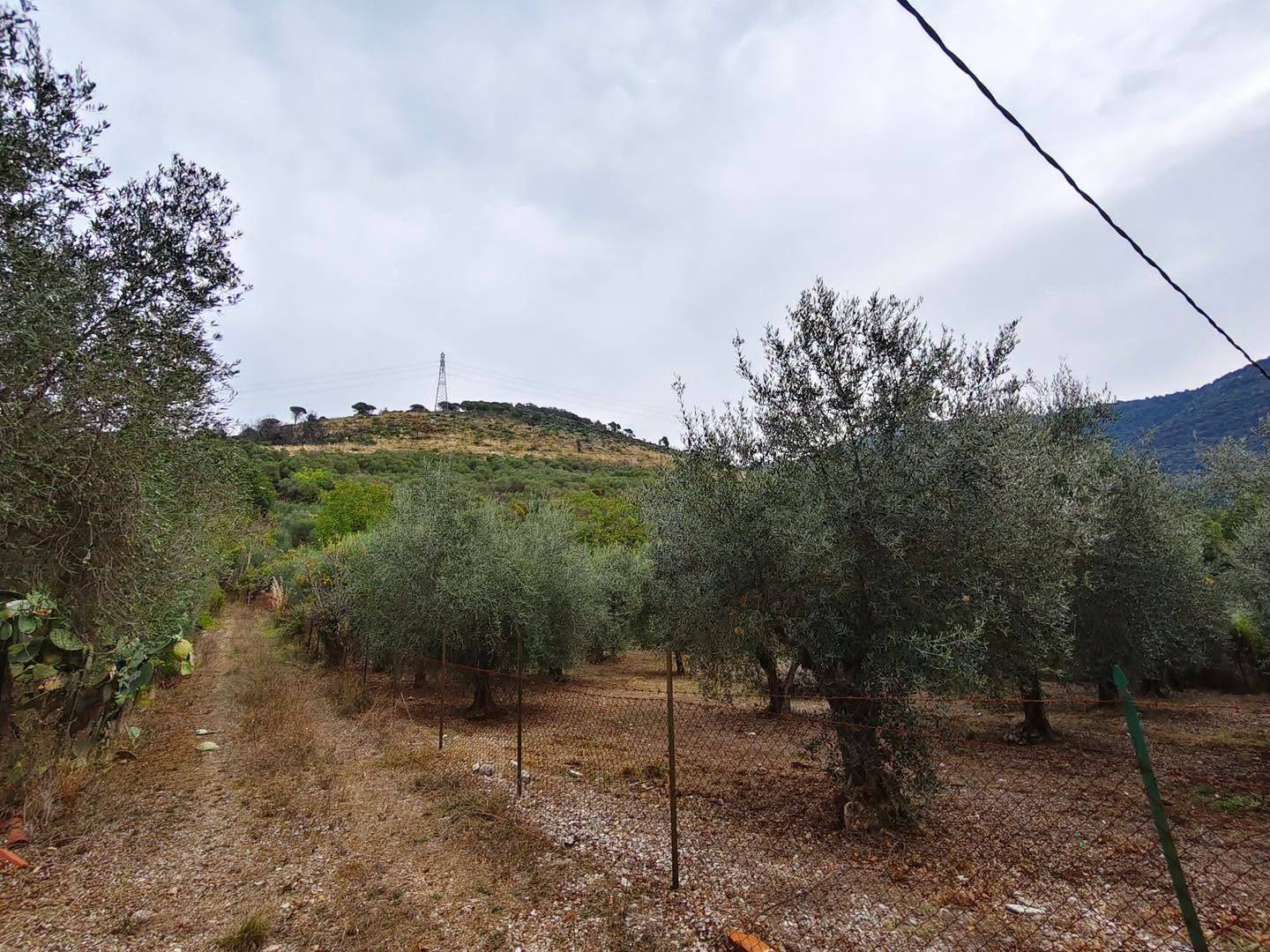 Terreno Agricolo in vendita a Maenza
