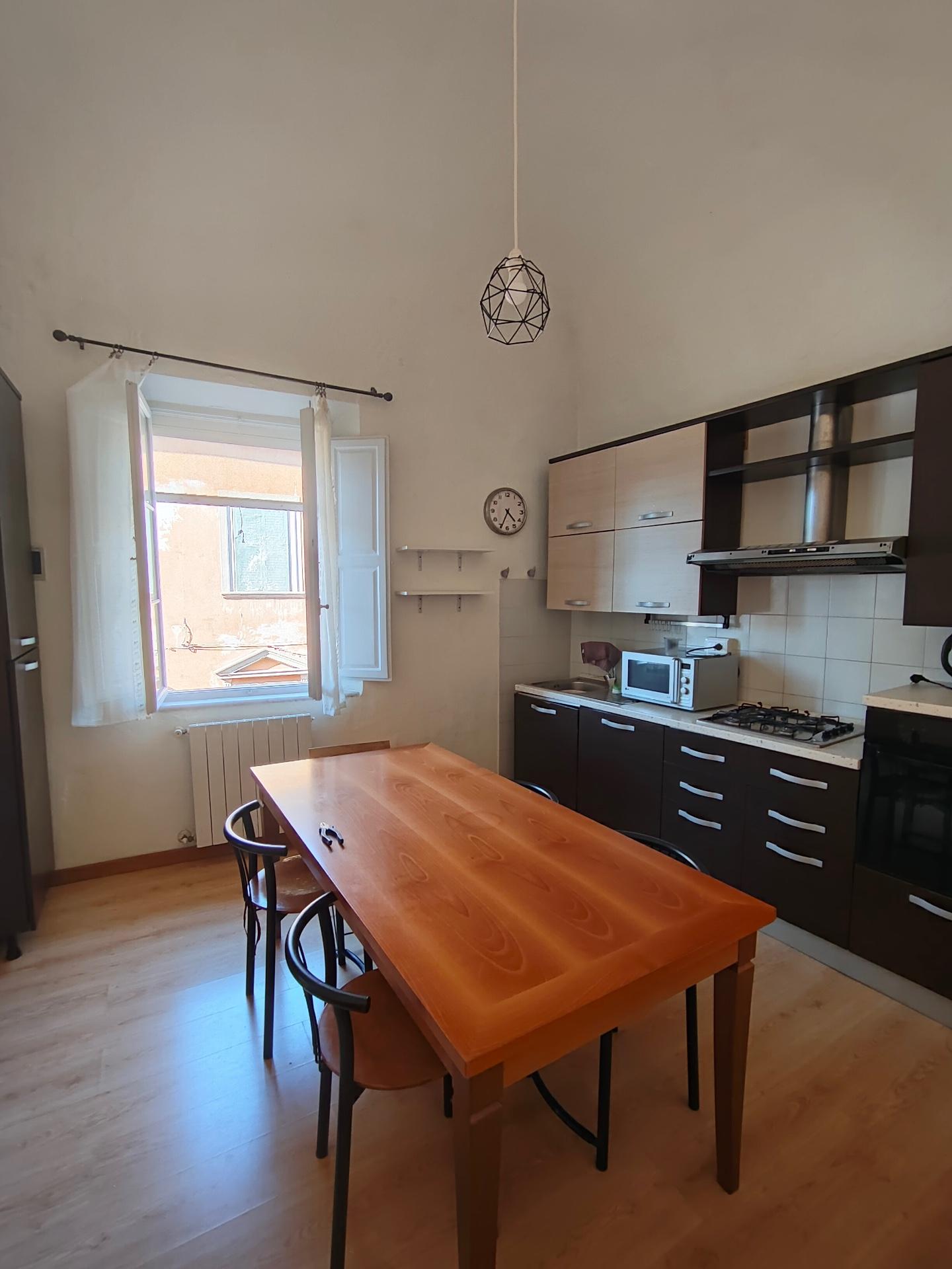 Quadrilocale arredato in affitto, Pisa san francesco