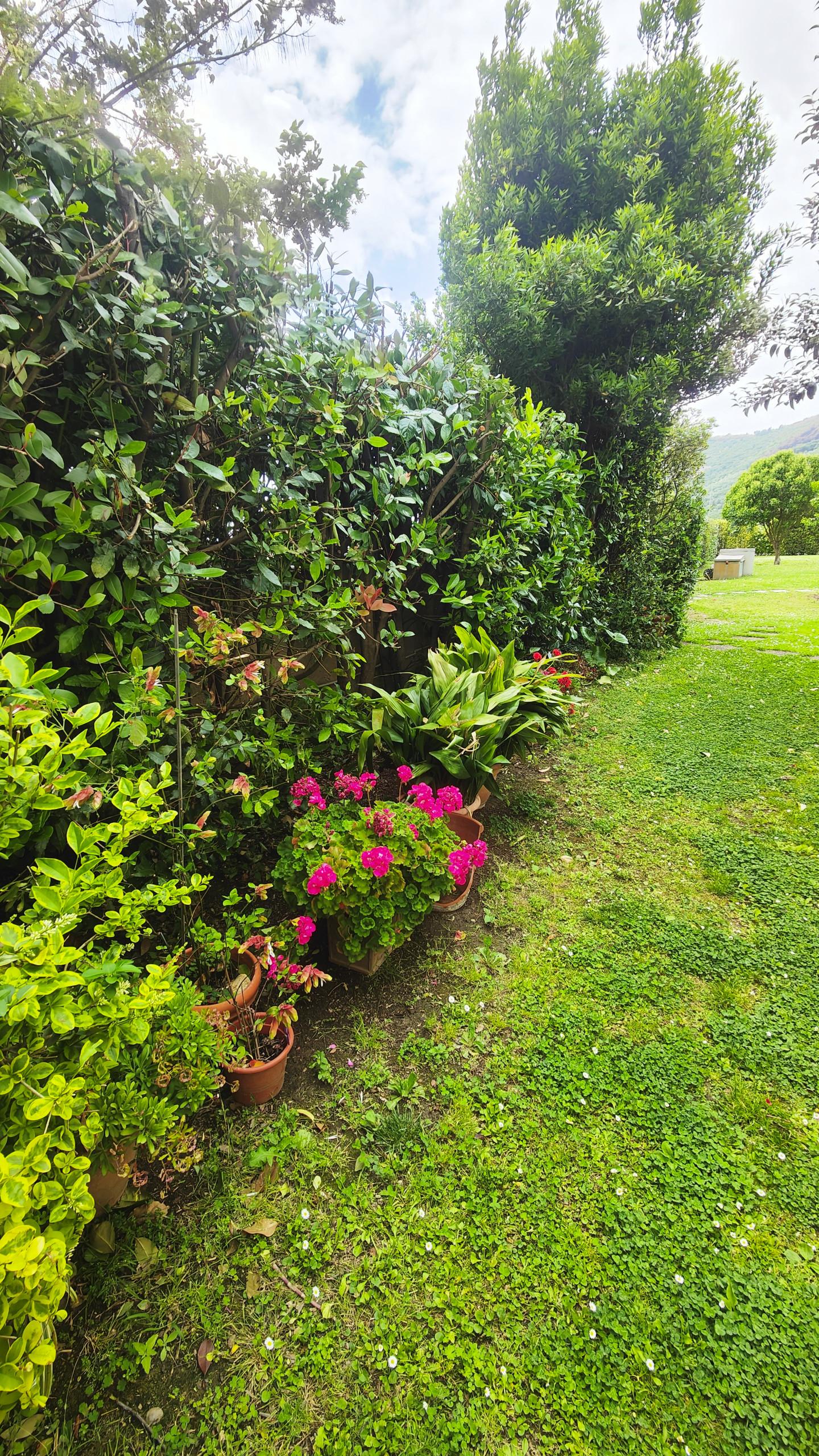 Villa con giardino, San Giuliano Terme asciano