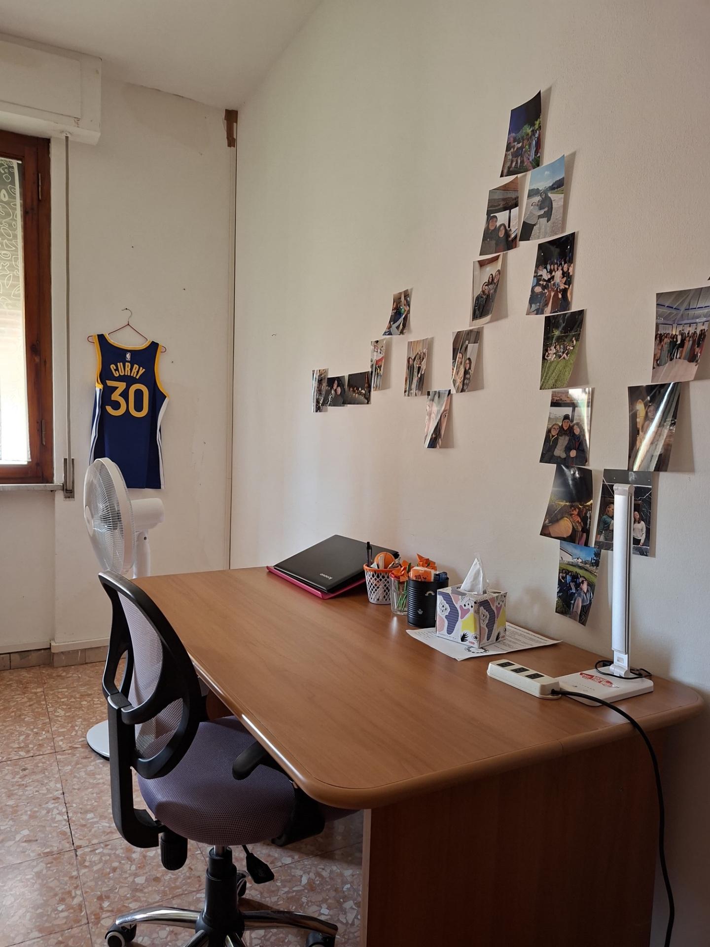 Loft arredato in affitto, Pisa porta a lucca
