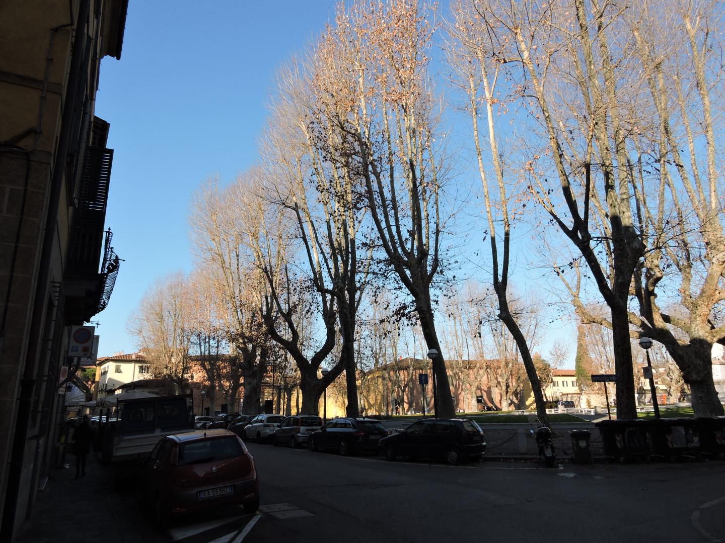 Quadrilocale arredato in affitto, Pisa san francesco