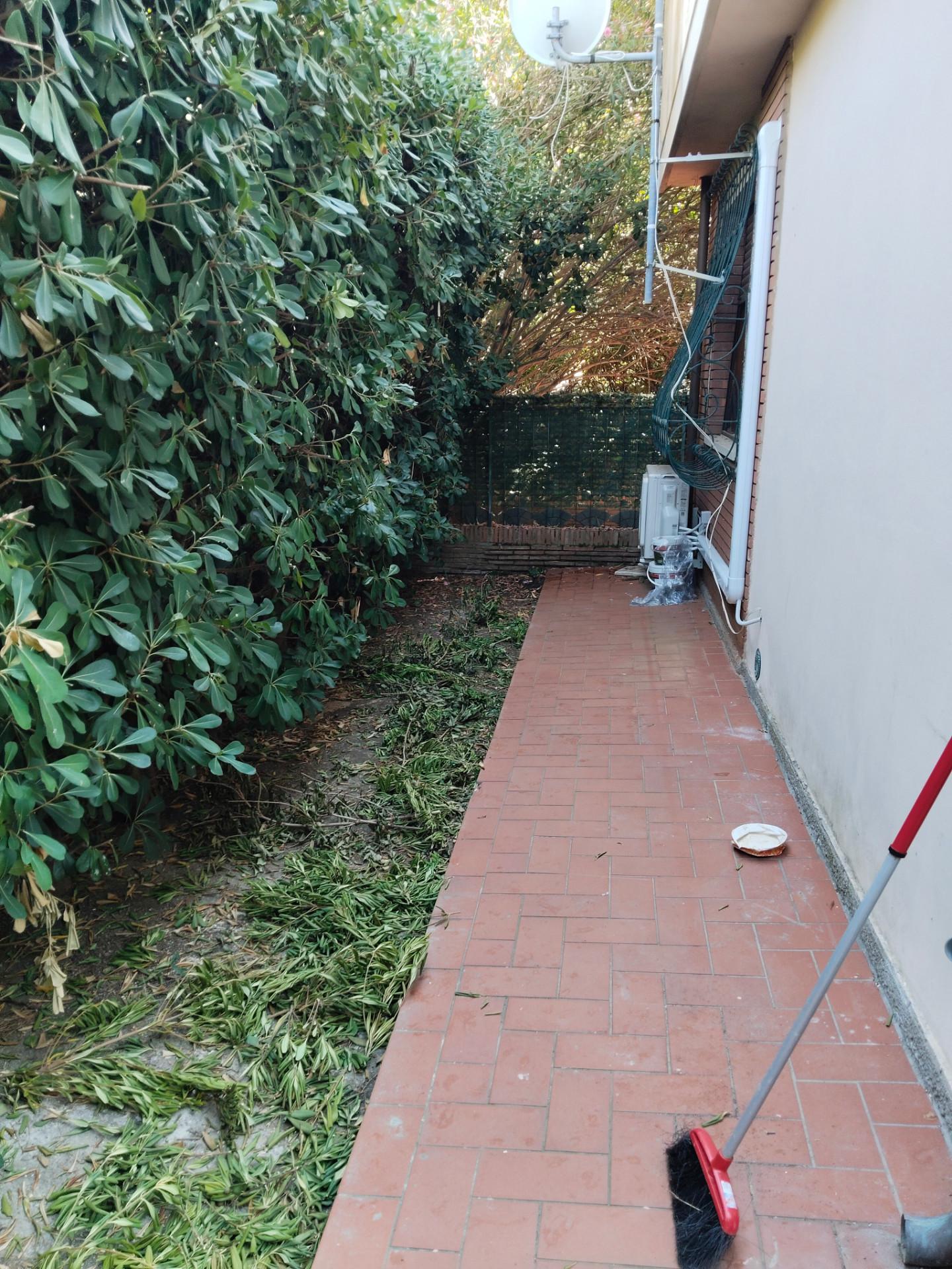 Bilocale arredato in affitto, Pisa san francesco
